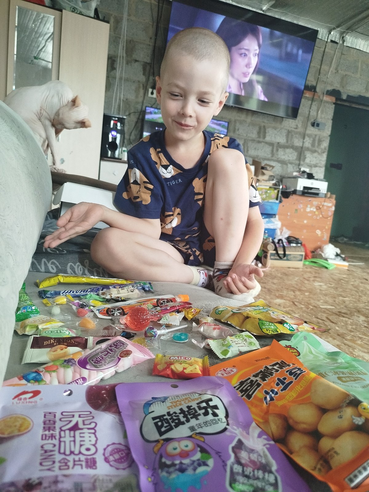 Candy haul, a Sphynx cat, and a lazy afternoon in Zavodoukovsk