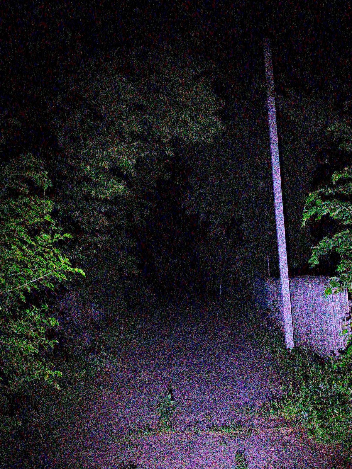 Nighttime rural documentation session captures moon, crops in Ustyvytsia Ukraine