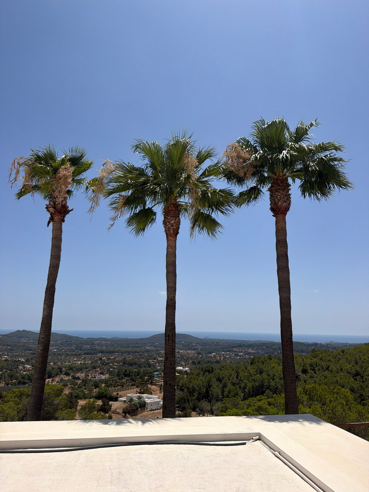 Hillside villa with infinity pool overlooking the Ibizan coast