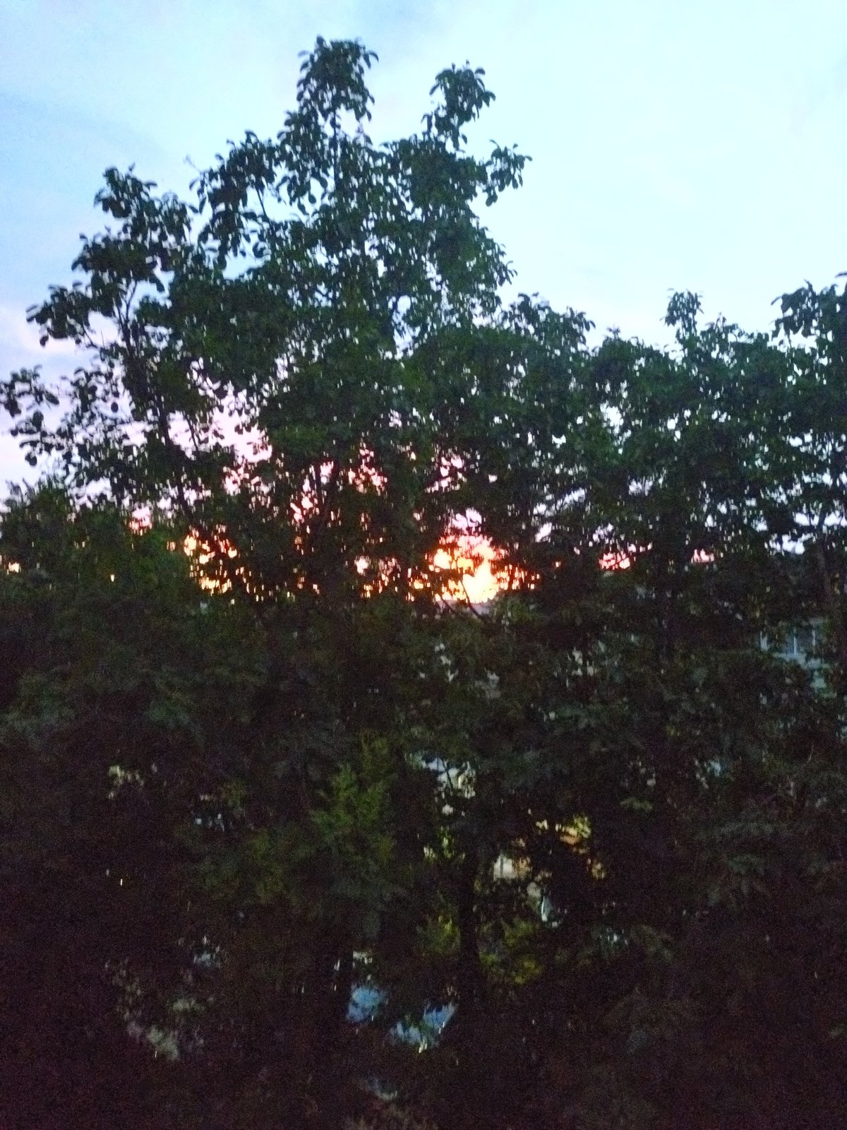 Evening domestic life documented in Stara Zagora, Bulgaria