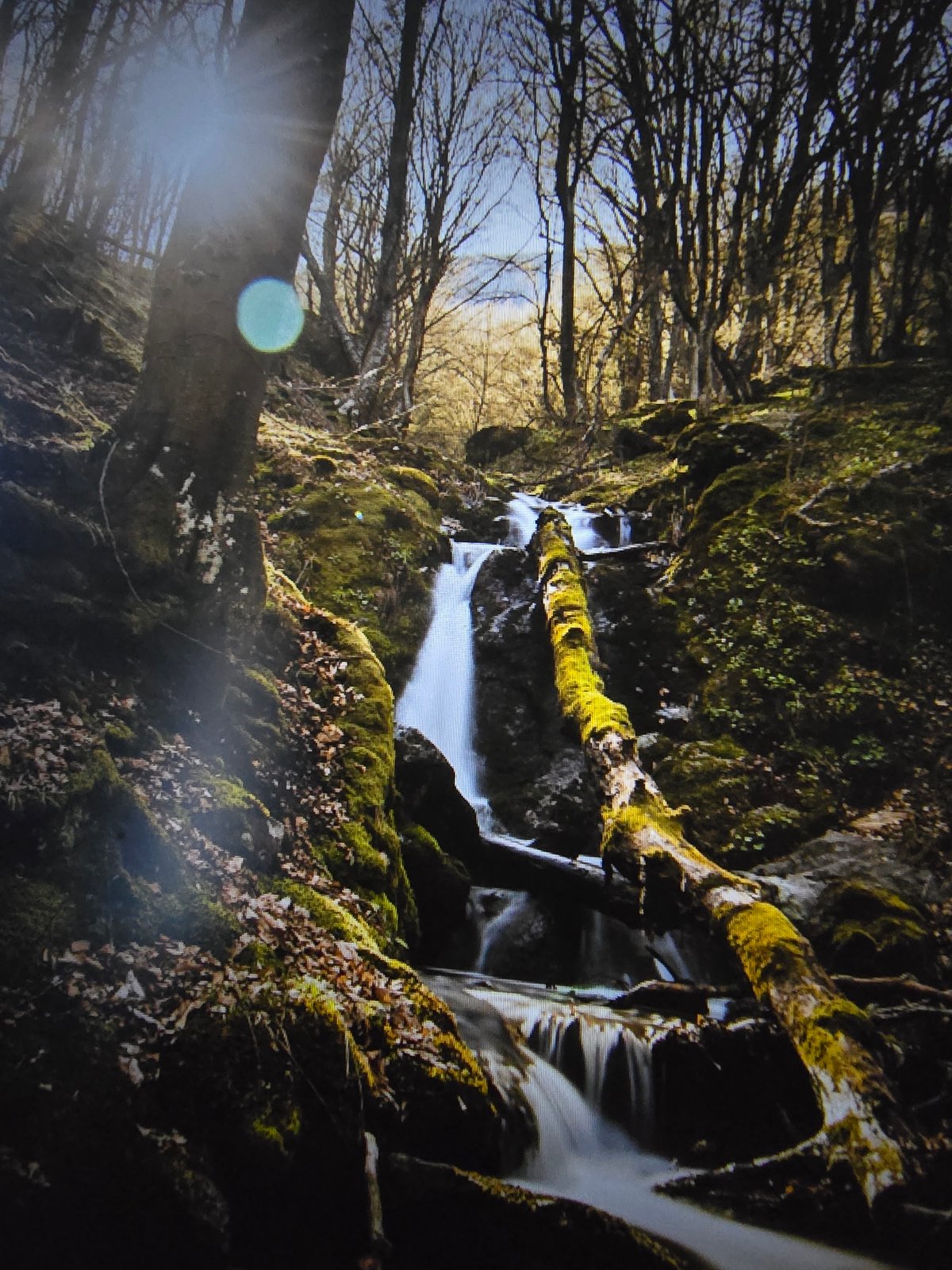 Mixed outdoor and intimate scenes documented in 30-minute span