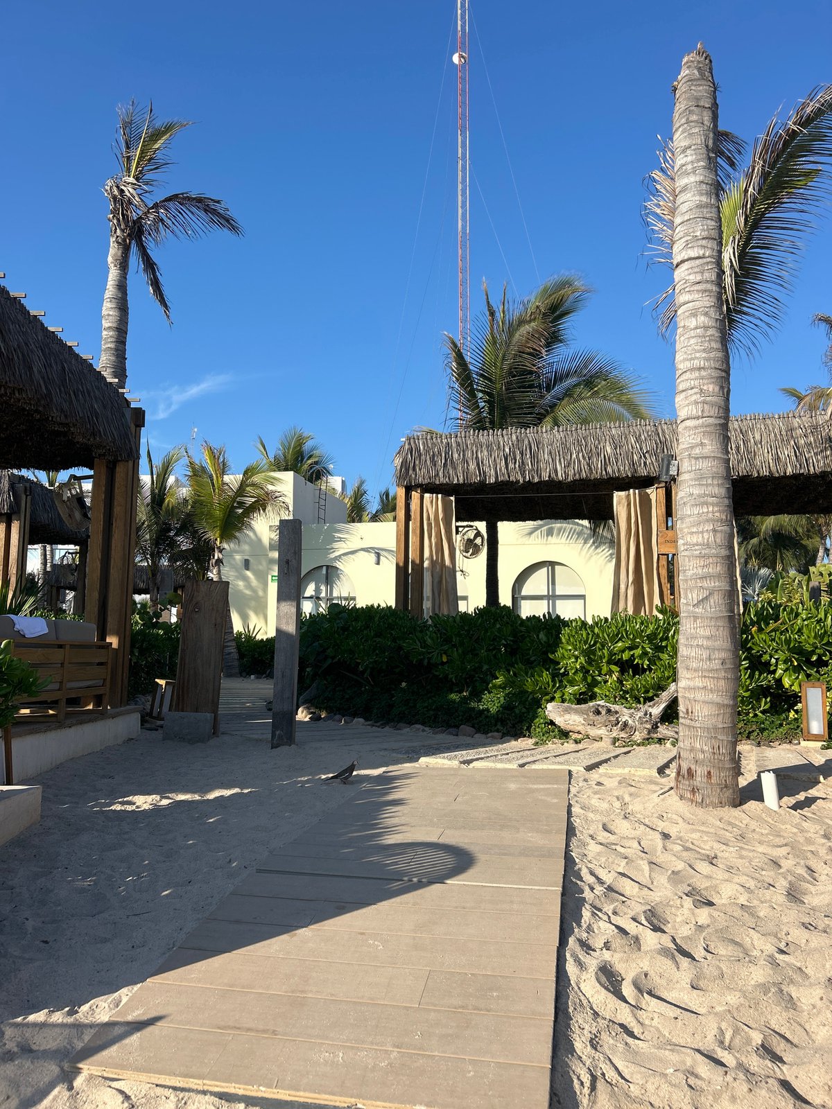 Sunny beachfront resort scenes documented in Mazatlán, Mexico