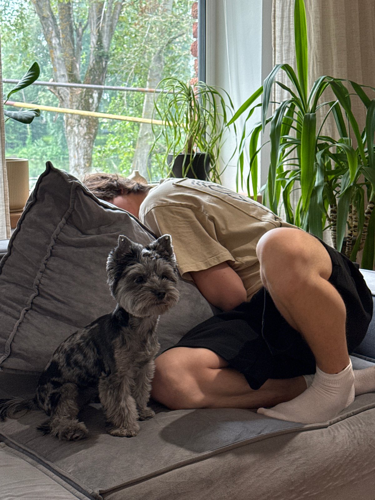 Lazy morning at home in Chaikovsky with a scruffy little dog