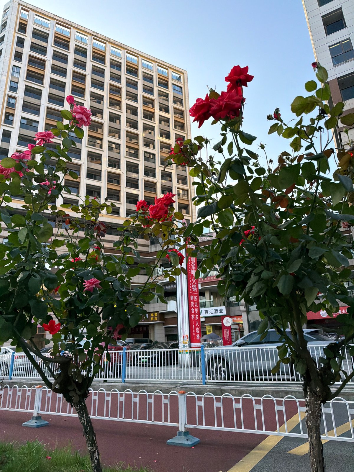 Morning street life documented in Chongqing High-tech Zone