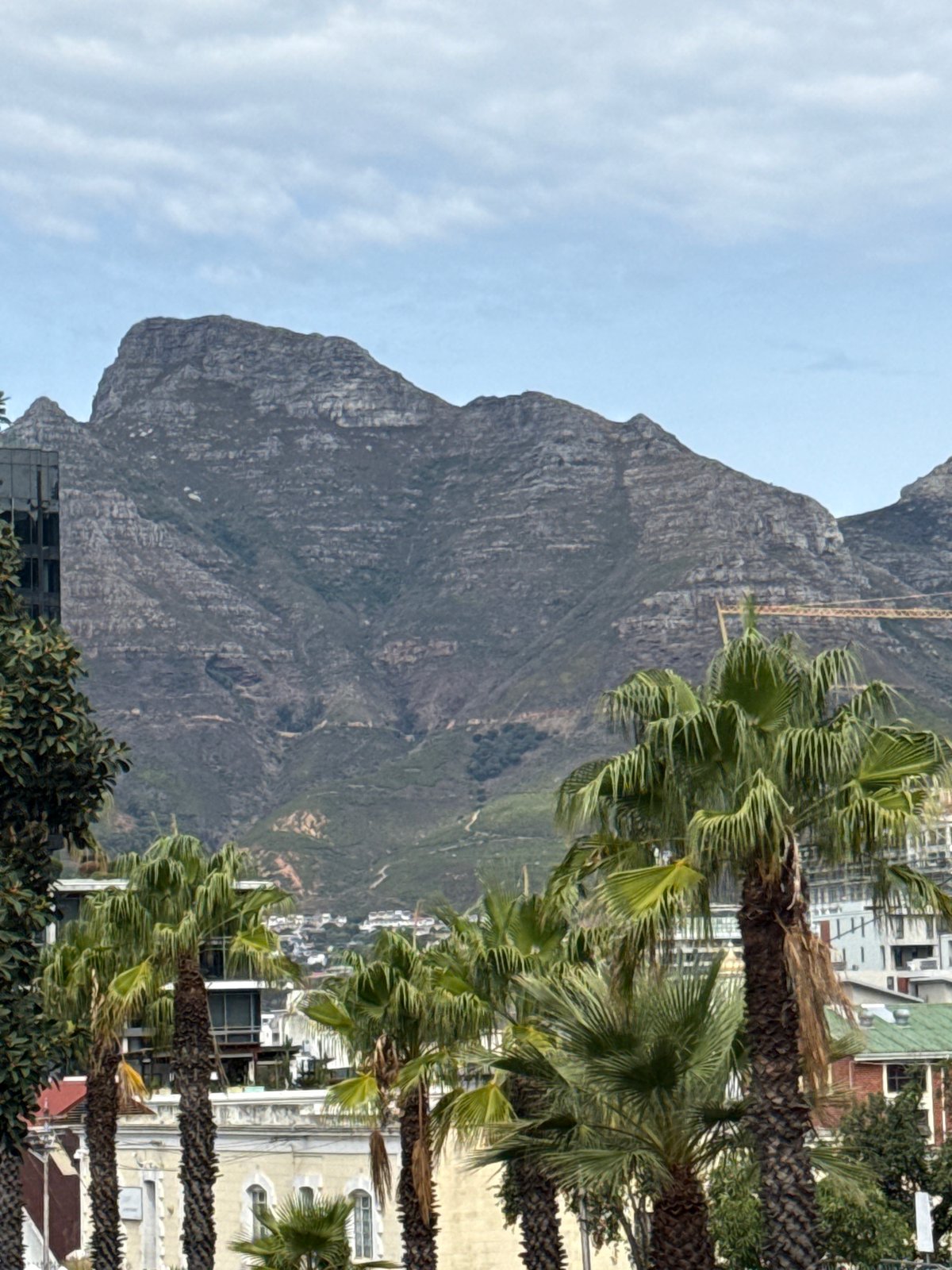 Cape Town visitor documents Table Mountain and harbor views