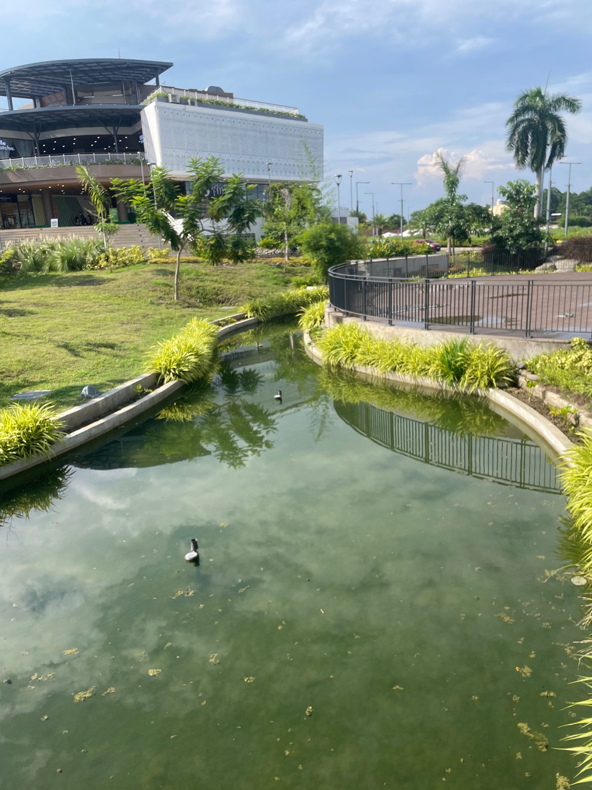 Davao City's Veranda complex and a nearby flower market