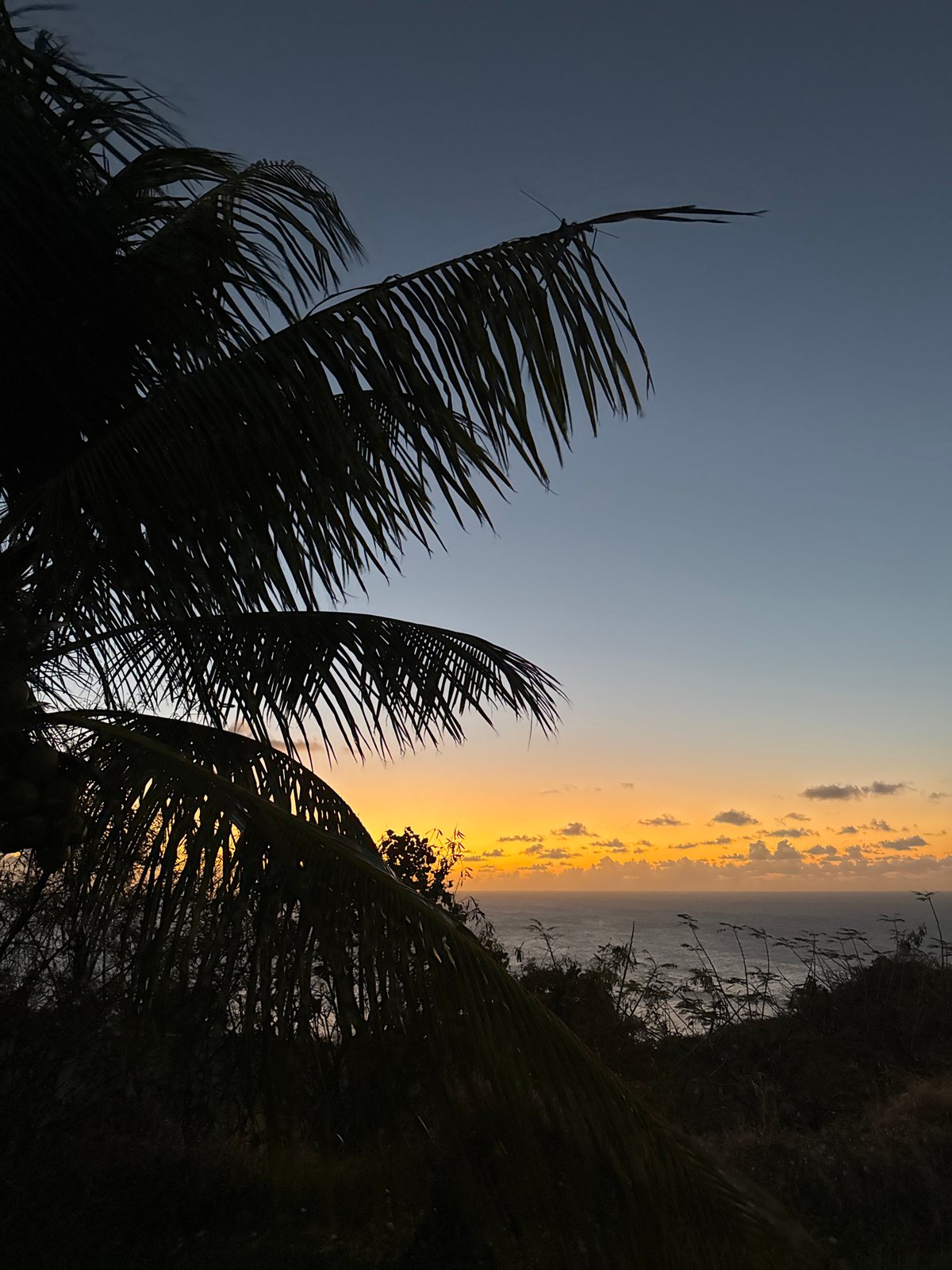 Sunset palms and indoor yoga on Christmas Island