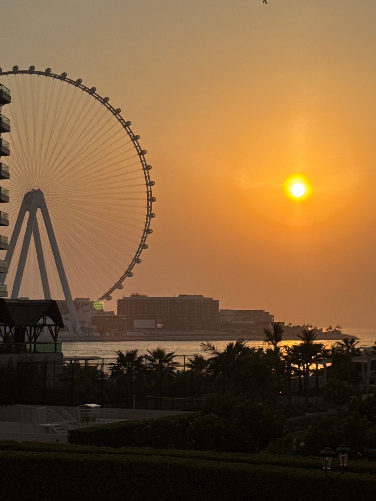 Sunset over Ain Dubai and the Bluewaters Island waterfront
