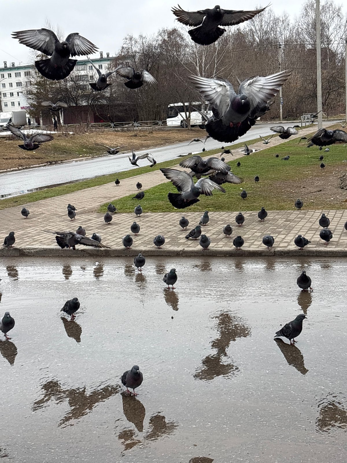 Early Morning Life Documented in Chaikovsky, Russia