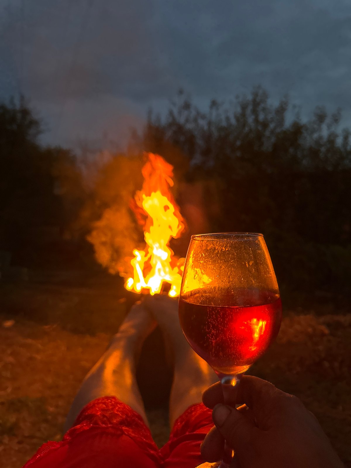 Evening bonfire party with wine and music in Chaikovsky
