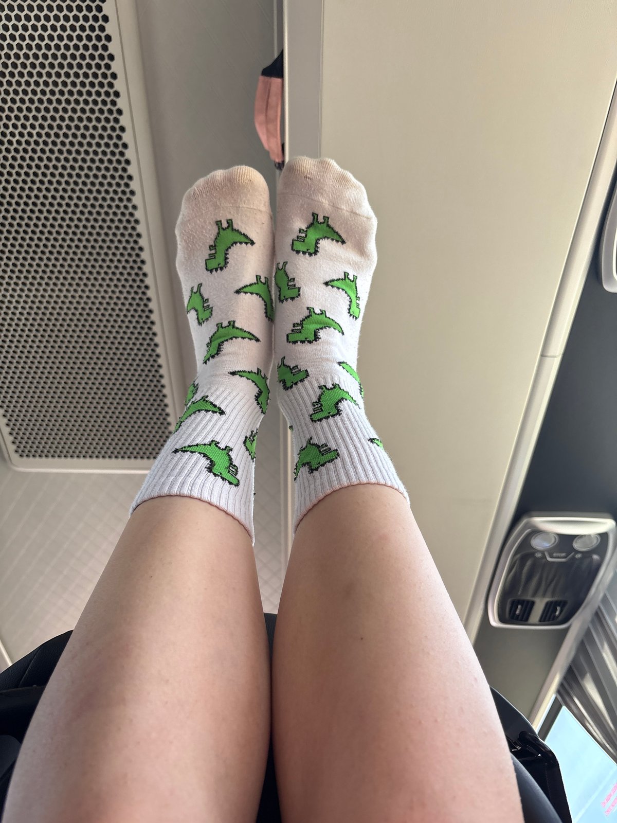 Person relaxes in vehicle wearing dinosaur socks in Alnashi