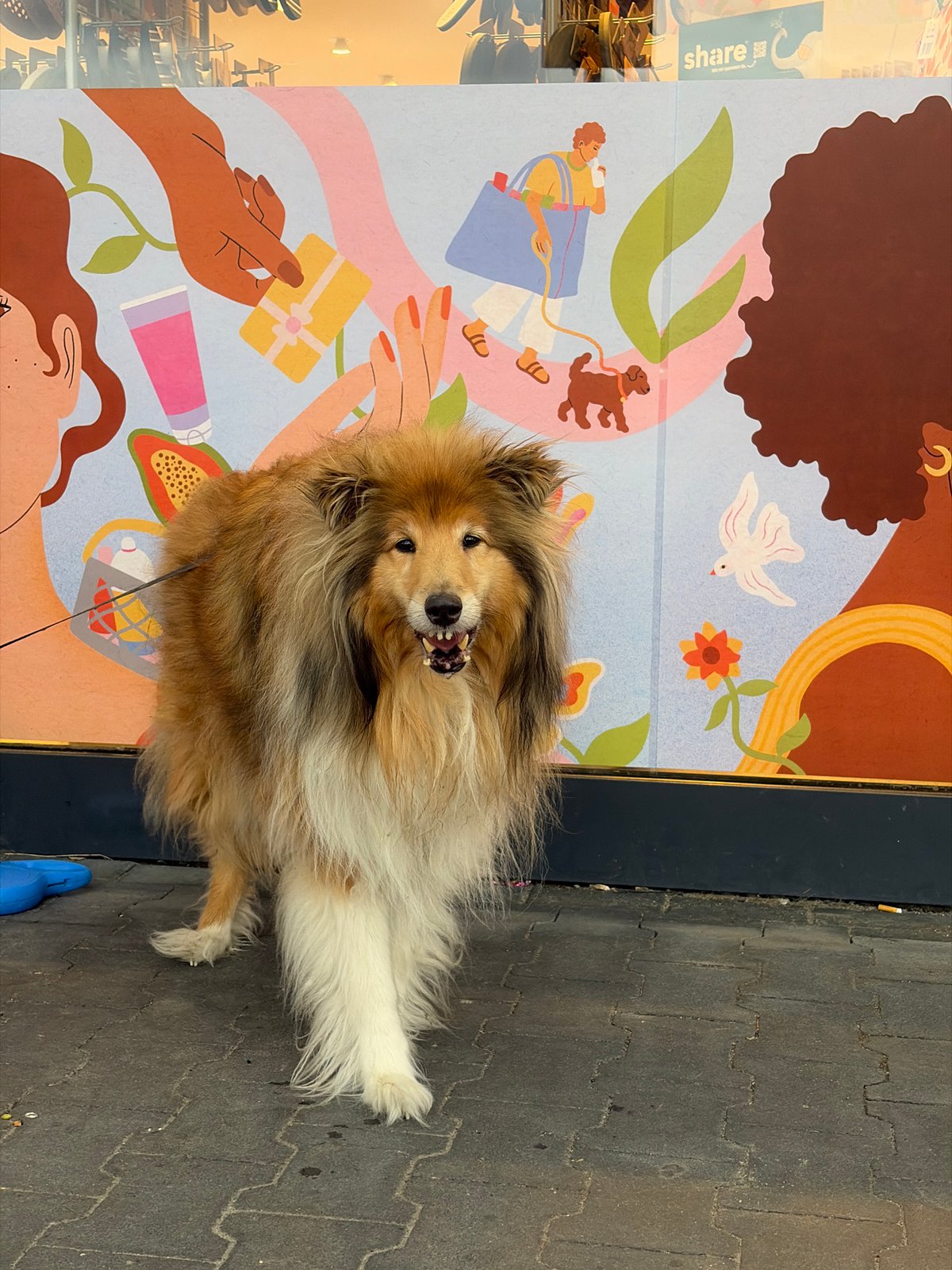 Golden-brown Collie poses in front of a colorful mural.