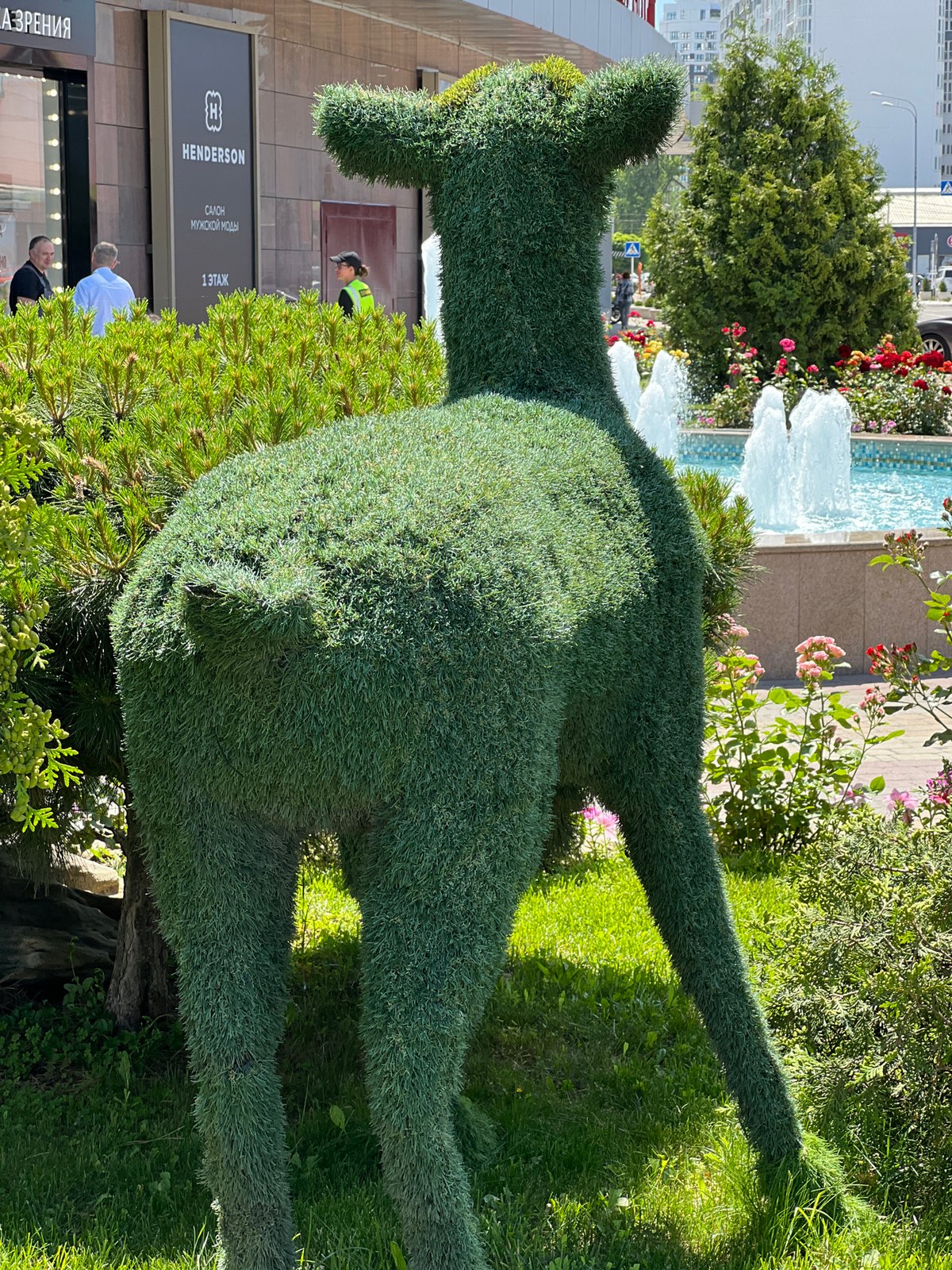 Morning stroll through blooming gardens and fountains in Krasnodar