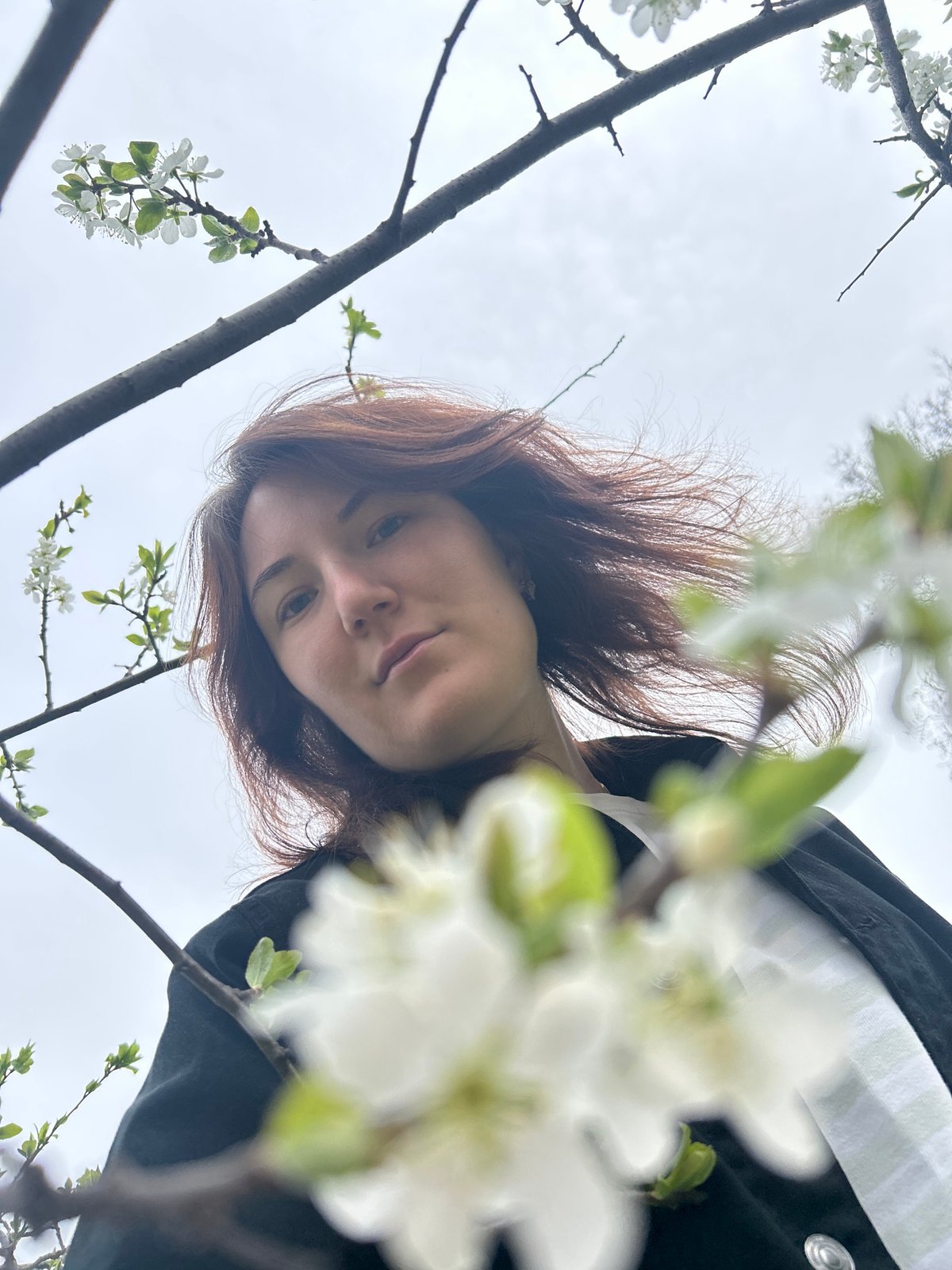 Spring dandelion gathering documented in Noviy, Russia