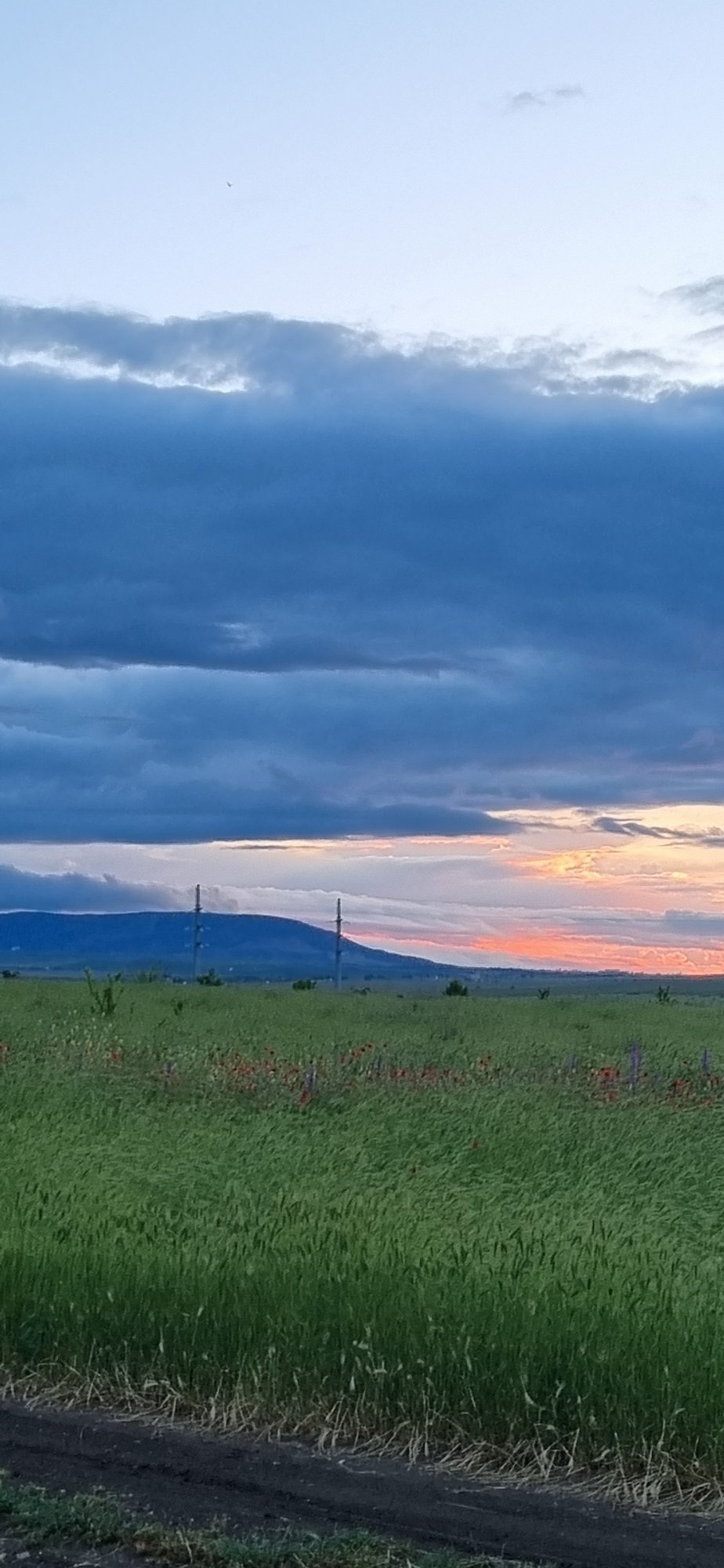 Sunset documented over rural Blizhnee, Ukraine countryside