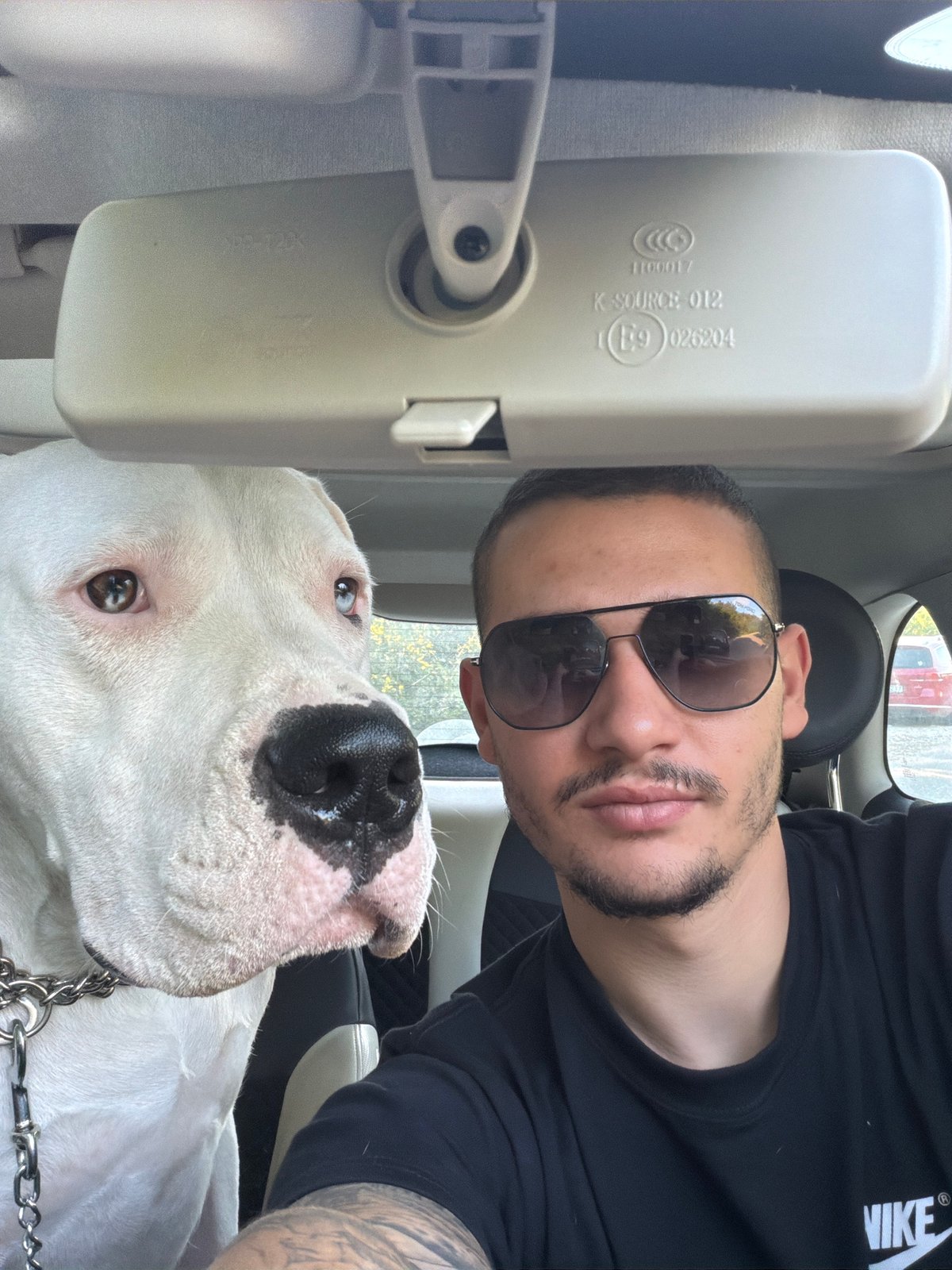 Man and dog spotted on forest path in Markovo