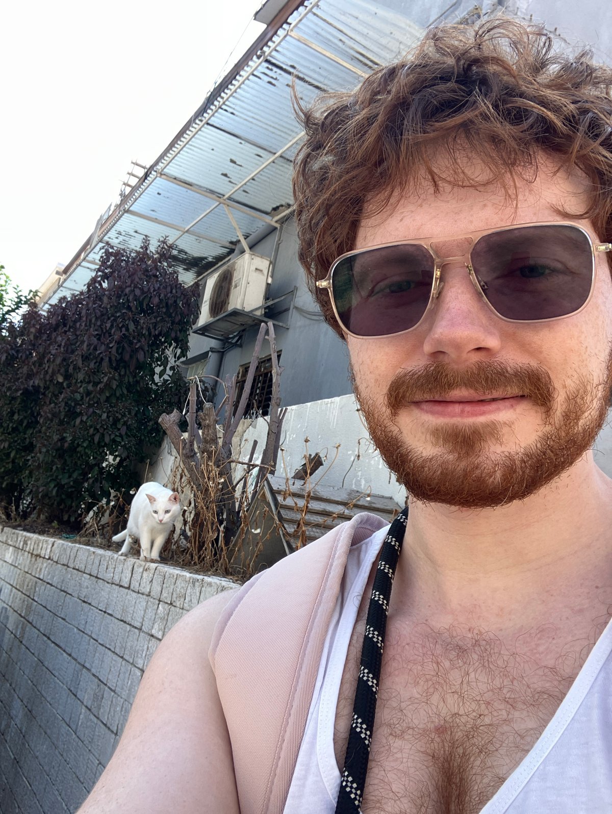 Casual photos captured in Tel-Aviv show resident and local architecture