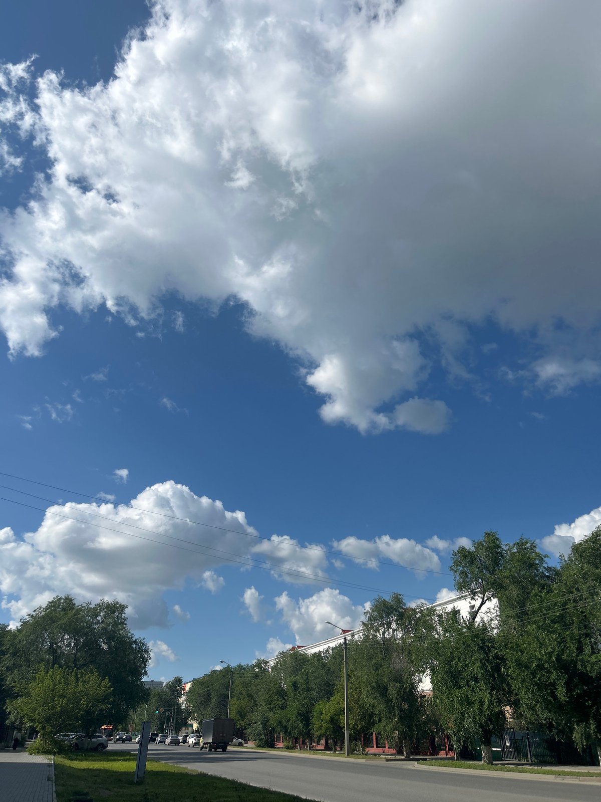 Quiet afternoon in Aktobe — streets, cats, and home cooking