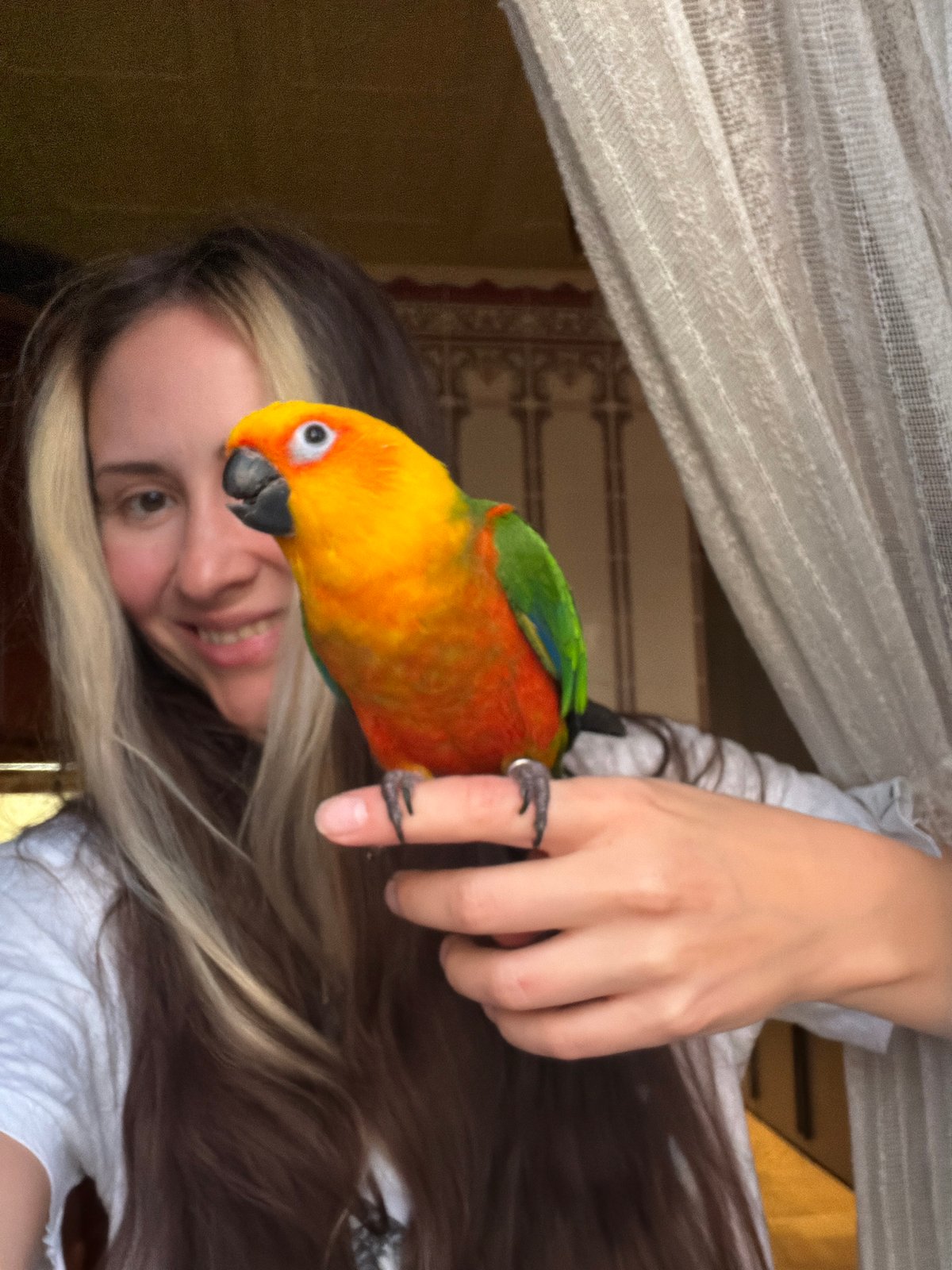 Basketball and golden-hour Khimki, with a parrot in the mix