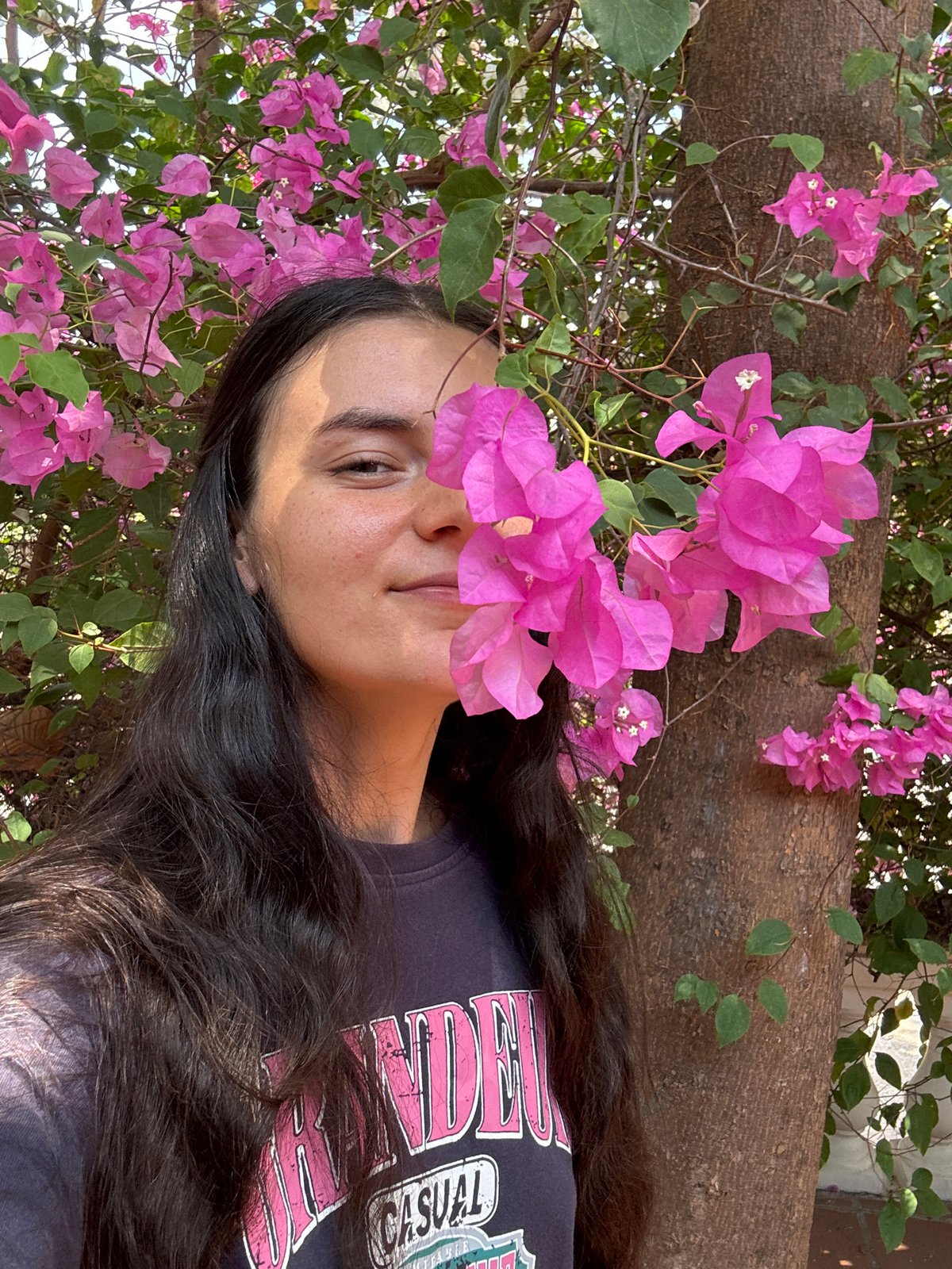 Quiet moments captured in Mũi Né: flowers and stickers