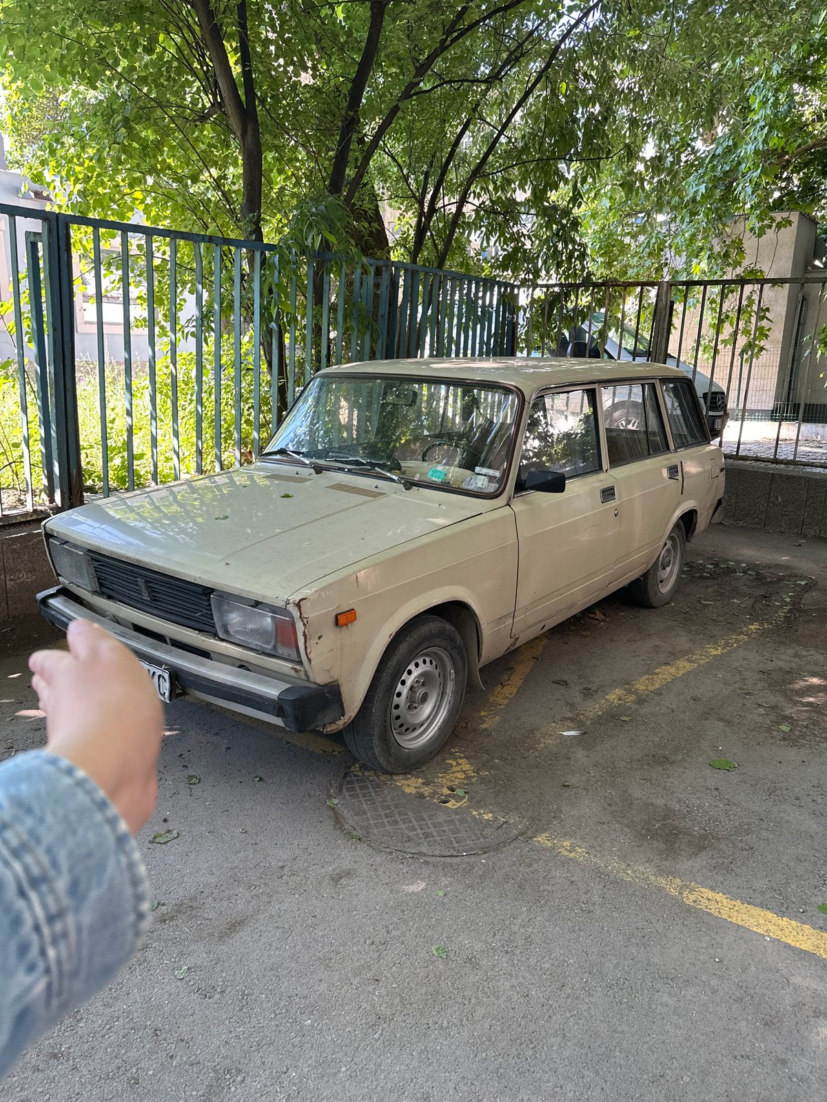 Morning snapshots captured in Varna: vintage car, dental X-rays