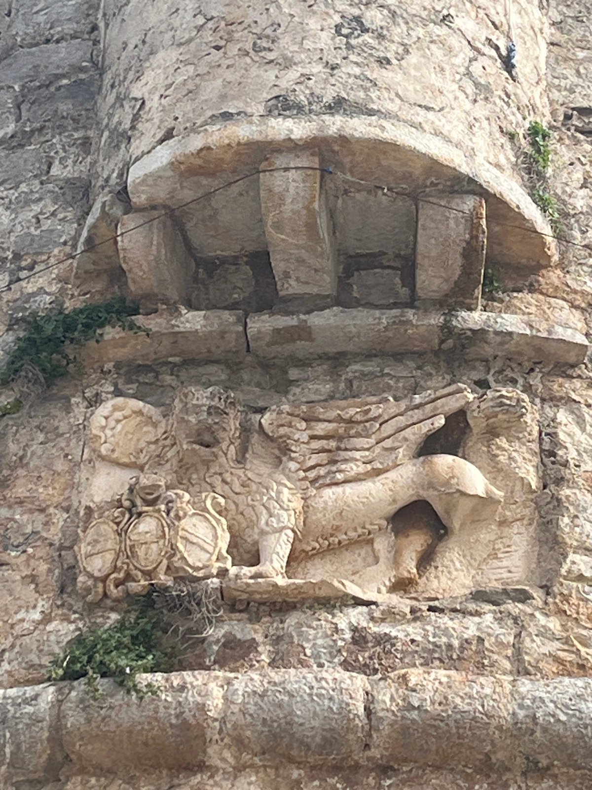 Stone griffin sculpture observed on historic wall in Budva