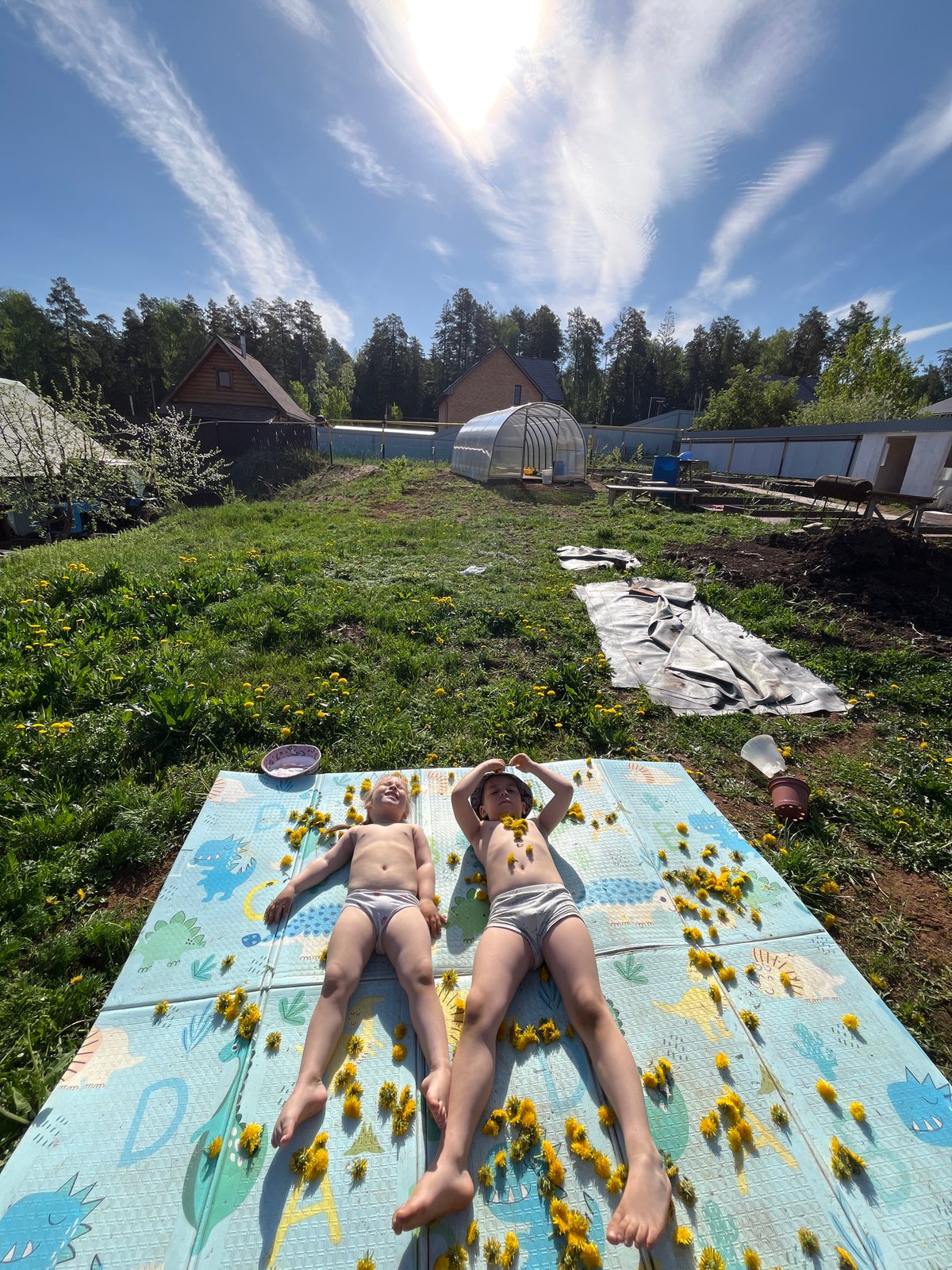 Children play among dandelions in early morning Chaikovsky yard