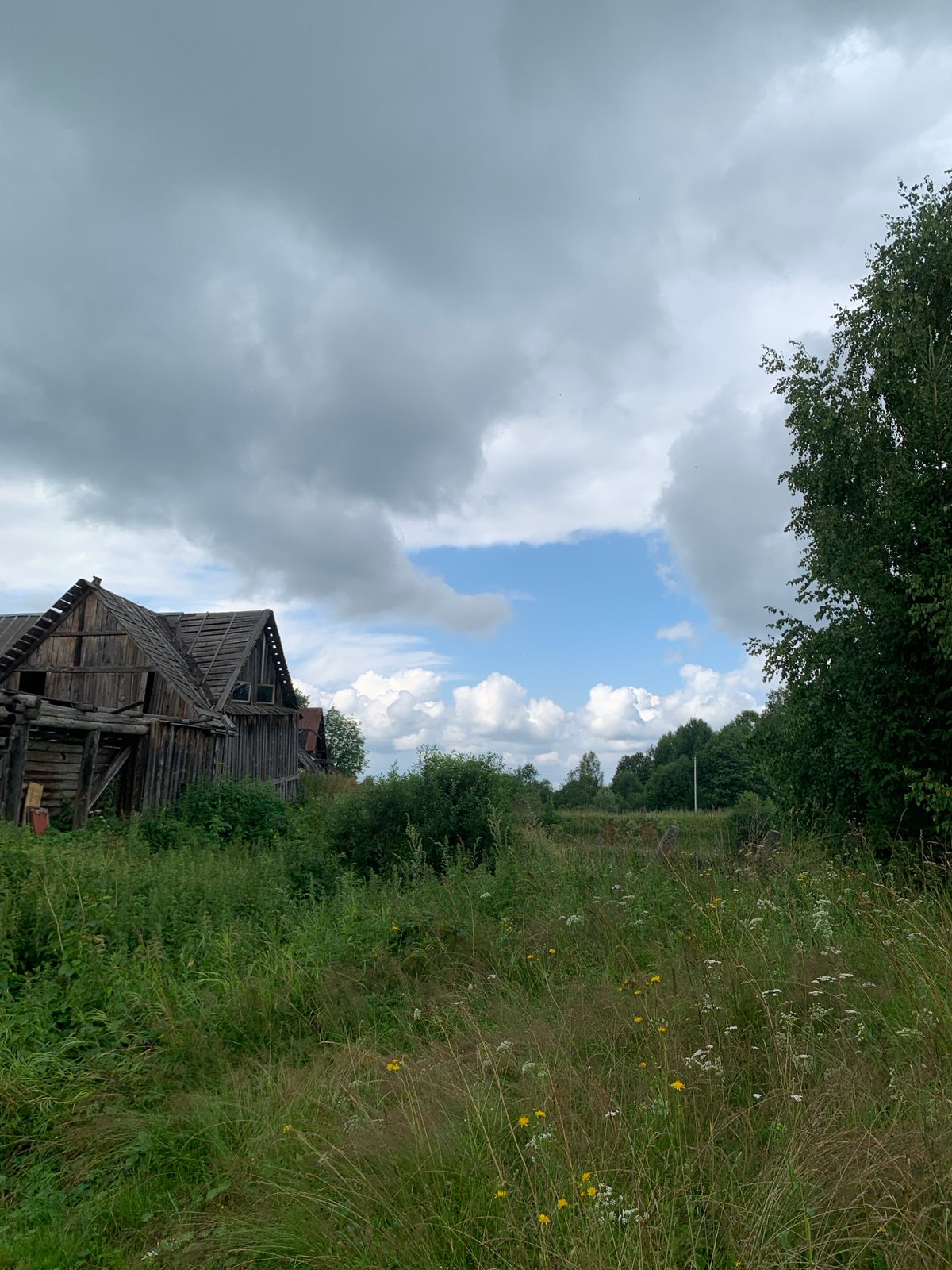 Lakeside walk through rural Zasechnyi on a grey morning