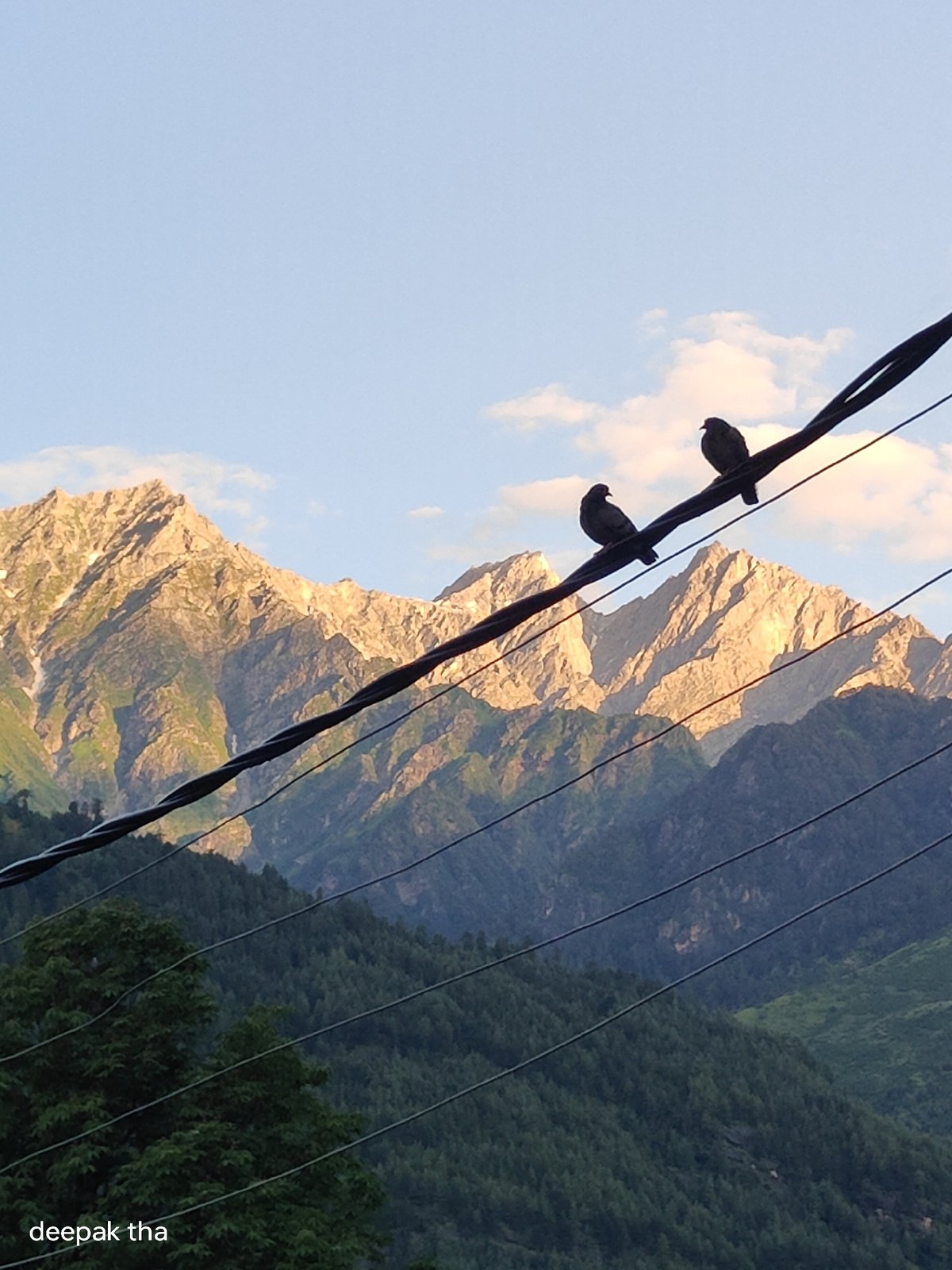Pigeons, wooden houses, and Himalayan peaks in Vashisht