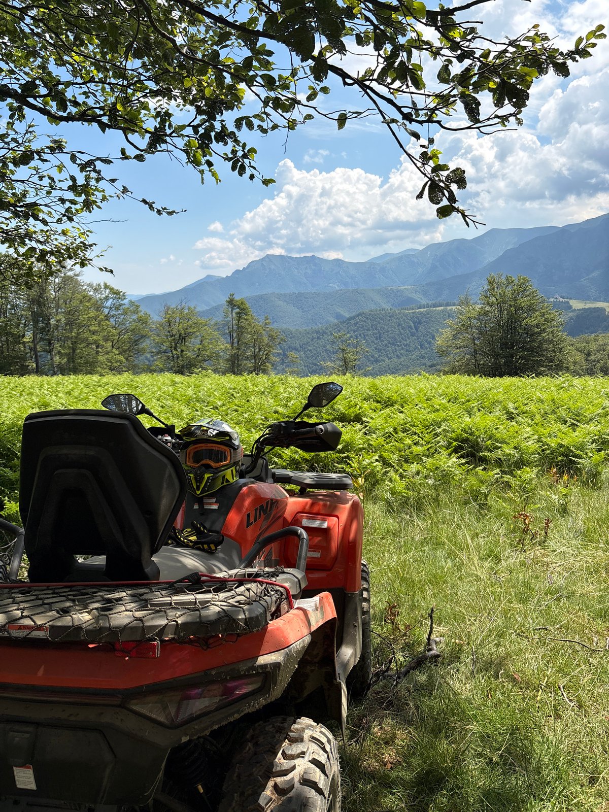 ATV parked in the fern-covered hills of Apriltsi, Bulgaria