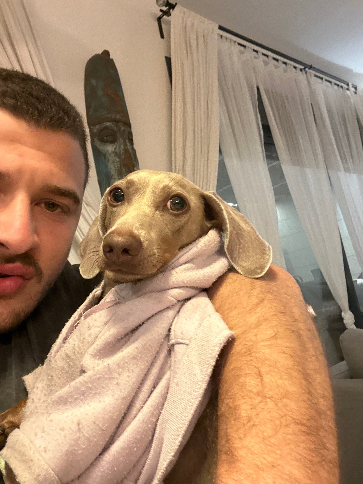 Two men take selfies with beloved dog in Ra'anana