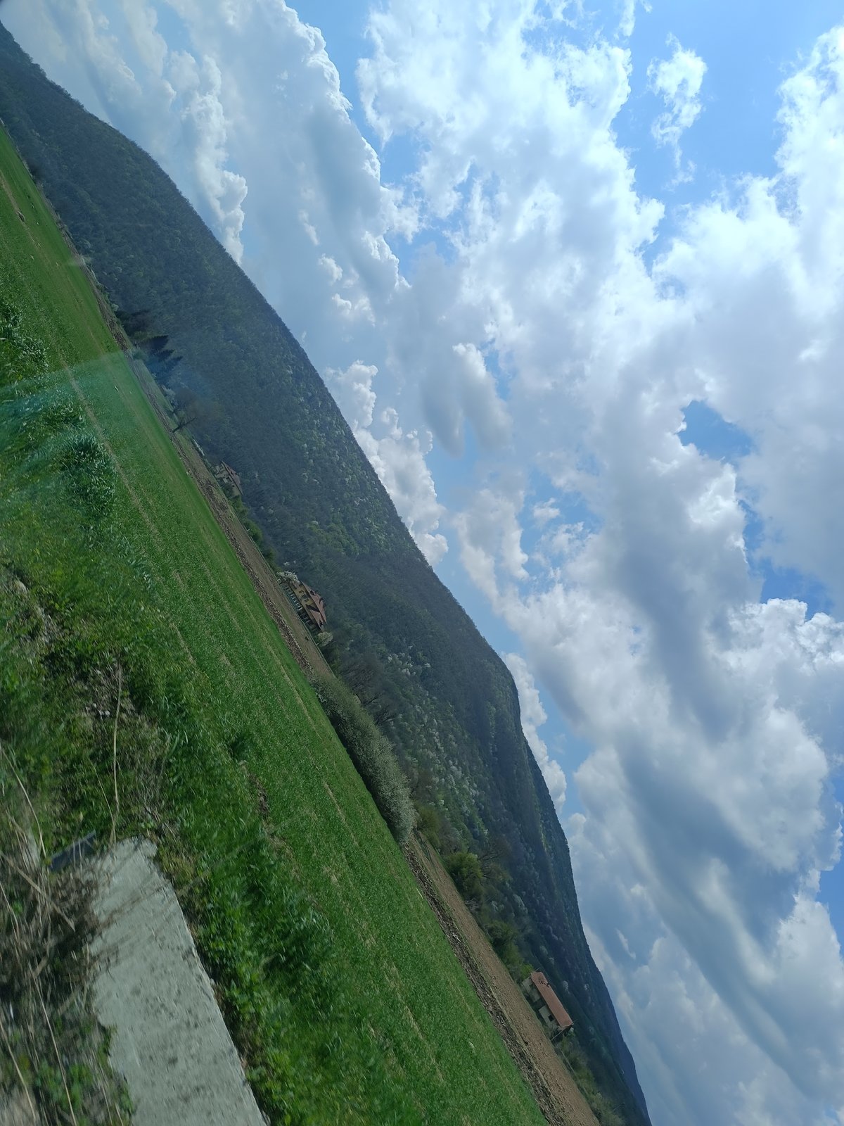Car journey through mountains with cocker spaniel companion documented