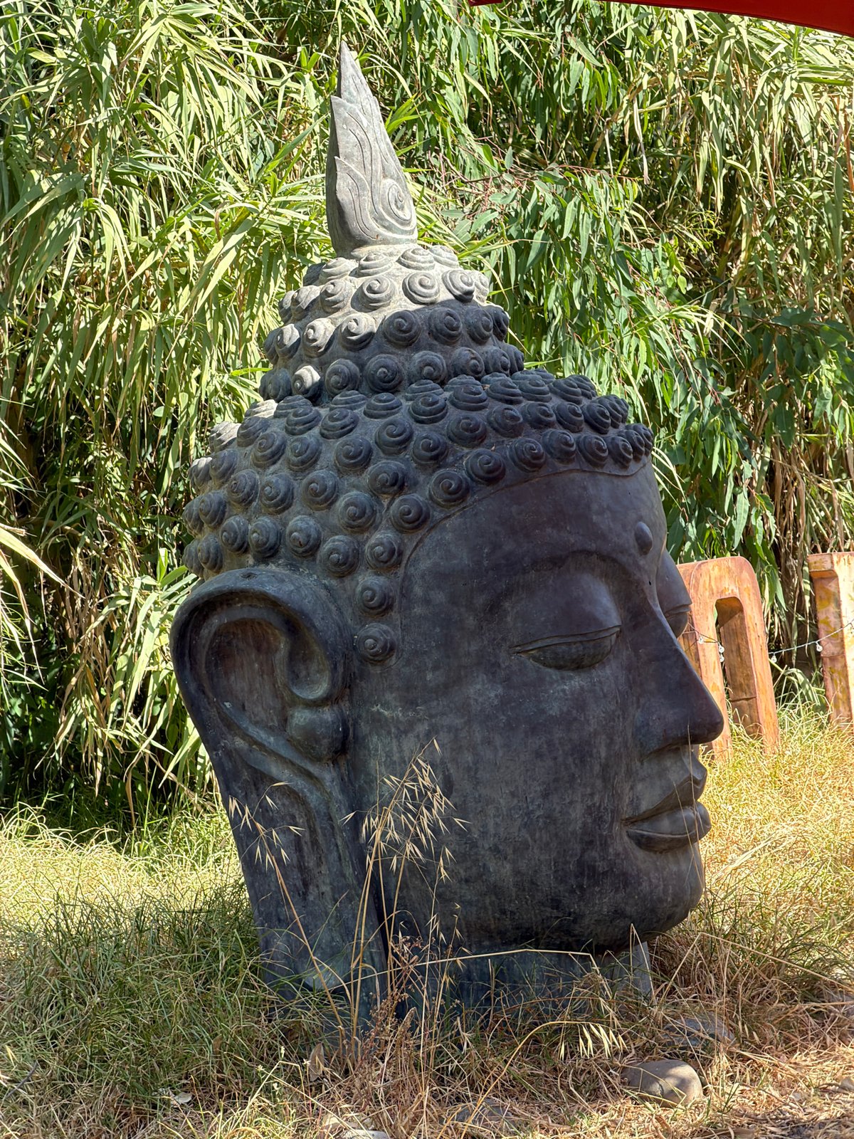 Buddha statue, wetlands, and modern architecture around Estepona