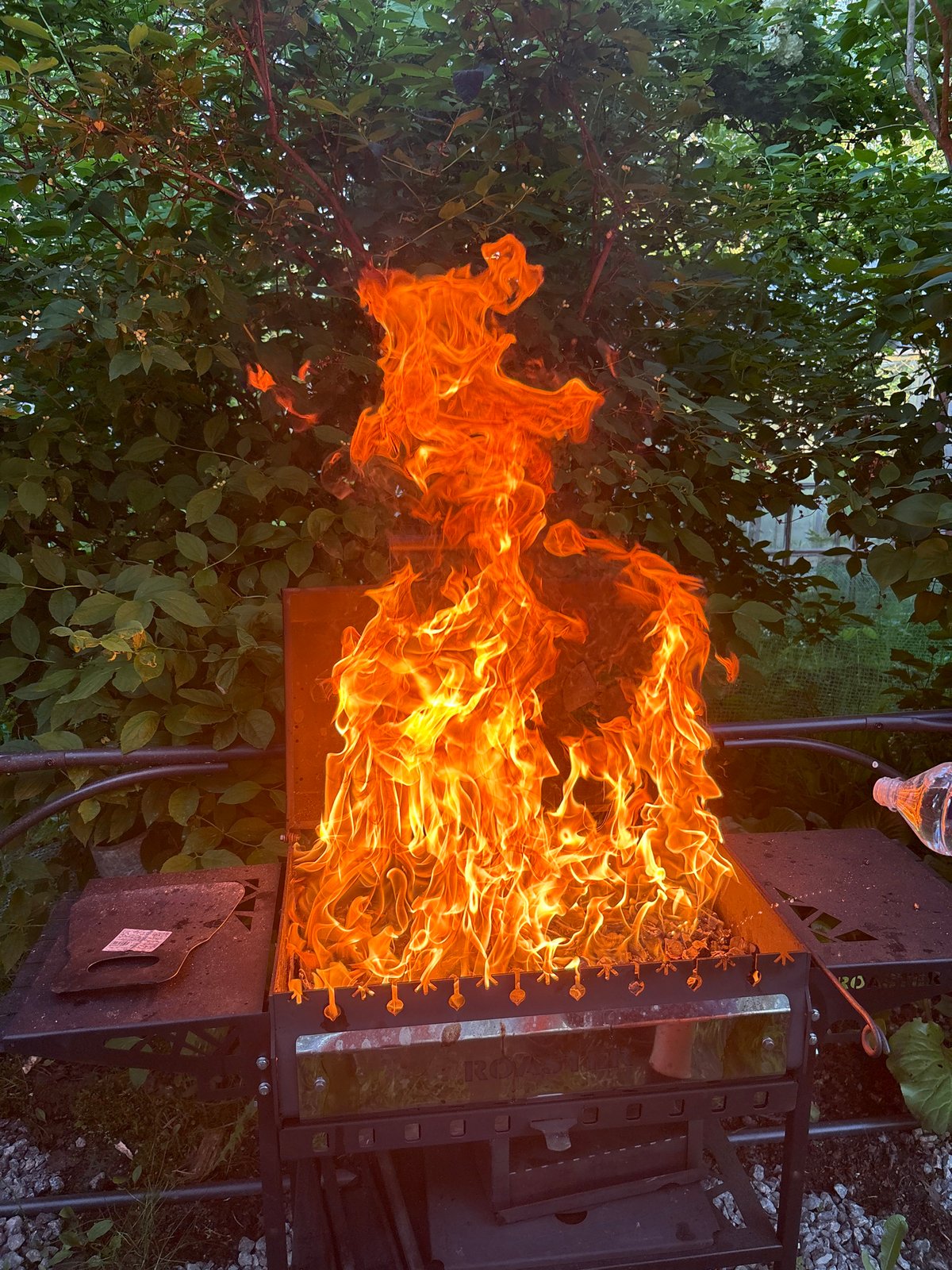 Backyard barbecue and garden documentation in Leningrad Oblast