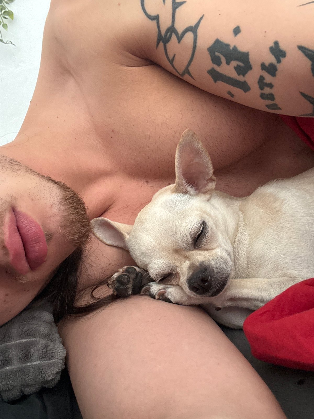 Man and small dog share quiet moment in Sofia