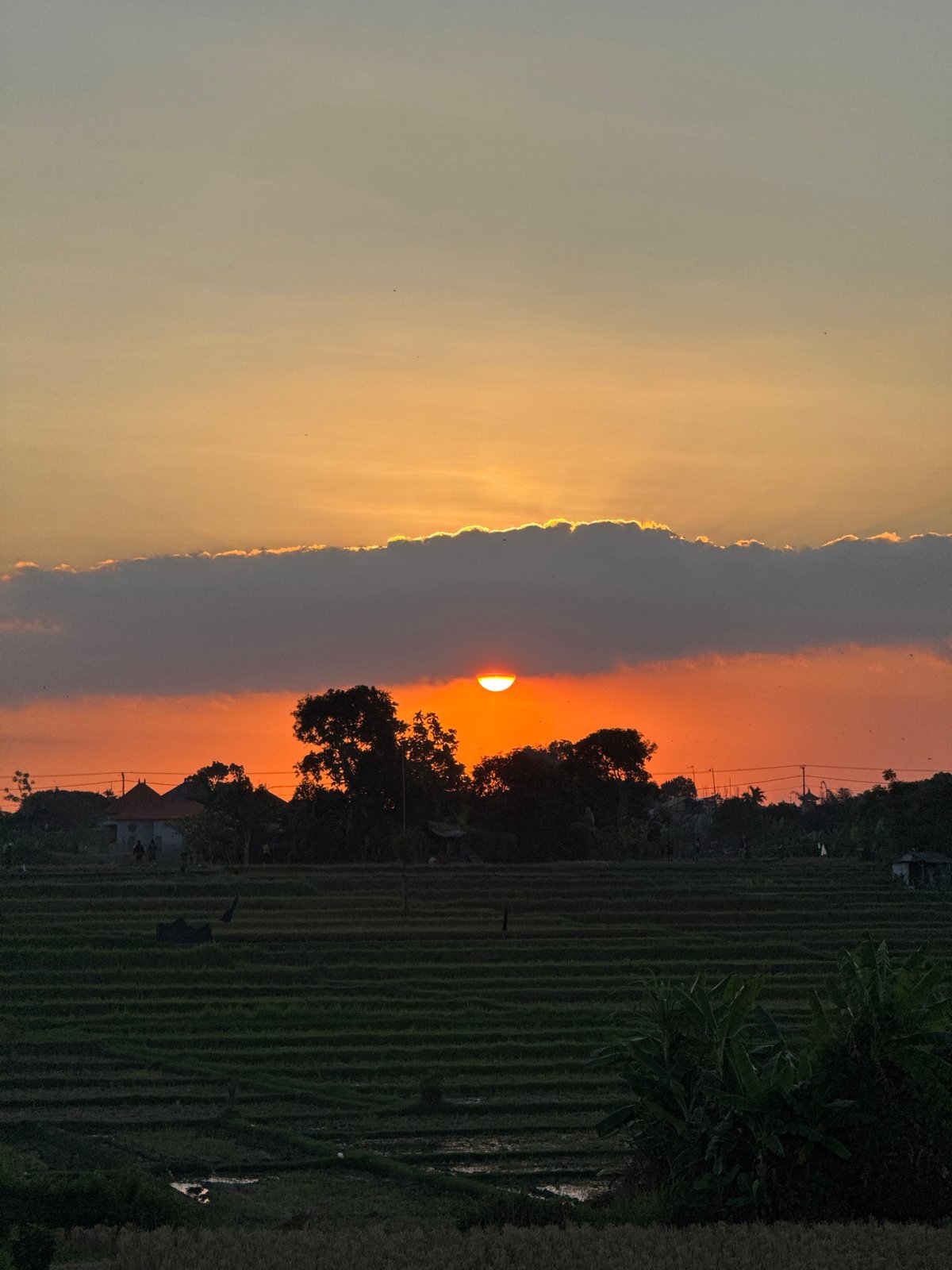 Rice field sunset in Bali with volcano on the horizon
