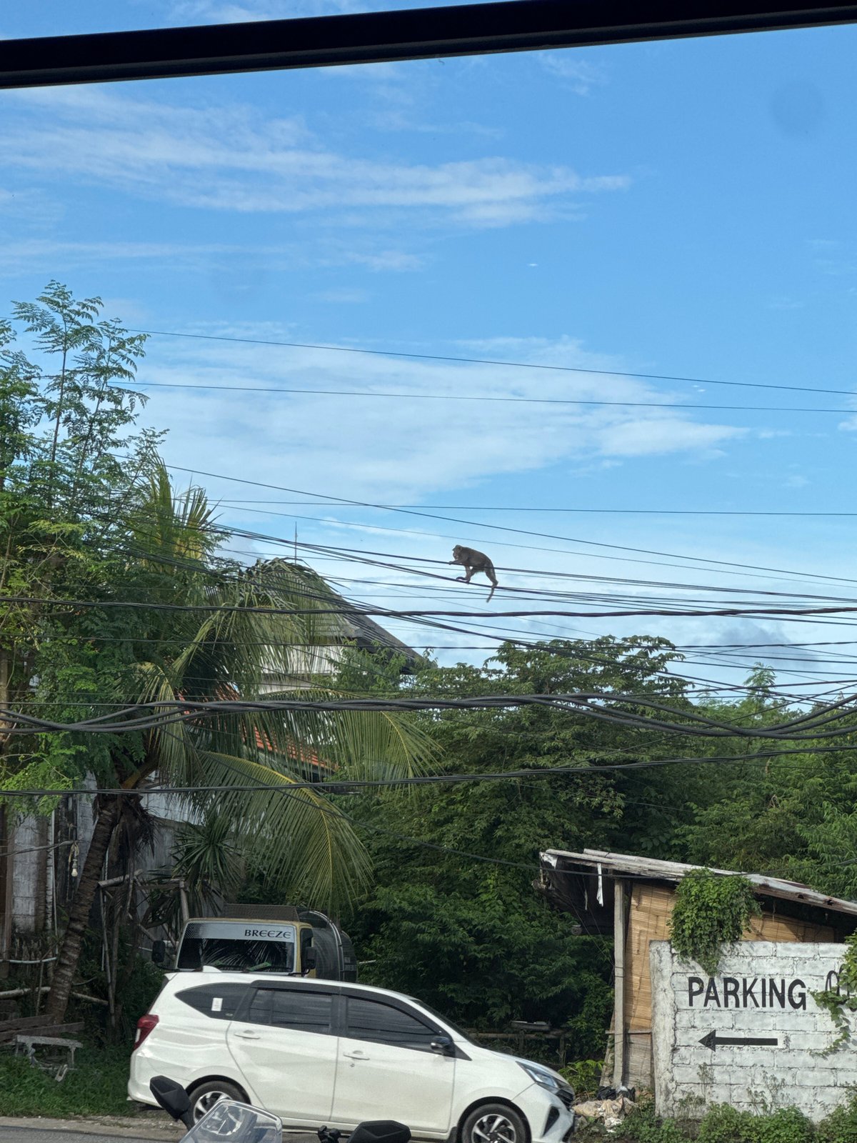 Routine morning activities documented in Kuta Selatan beauty salon
