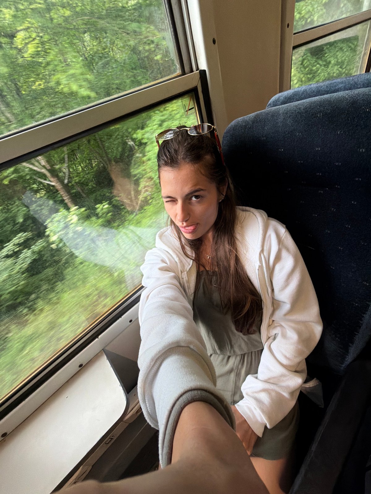 Passengers document hour-long train journey through overcast countryside