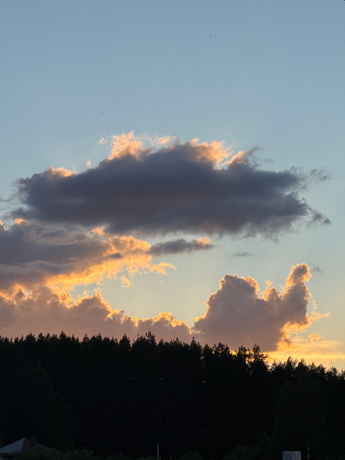 Ordinary afternoon moments documented across Izhevsk, Russia