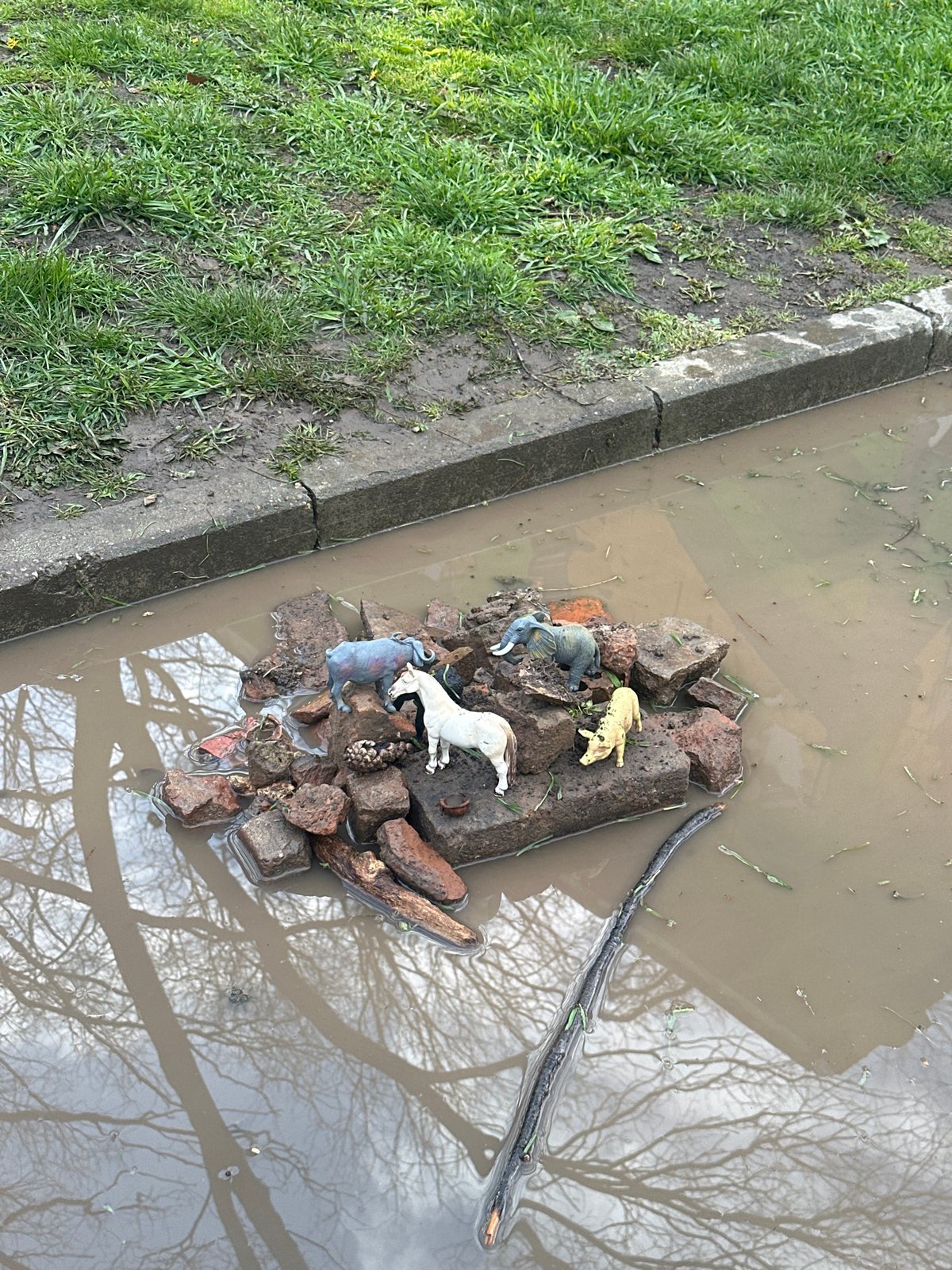 Toy animals arranged on makeshift island in flooded Bulgarian gutter