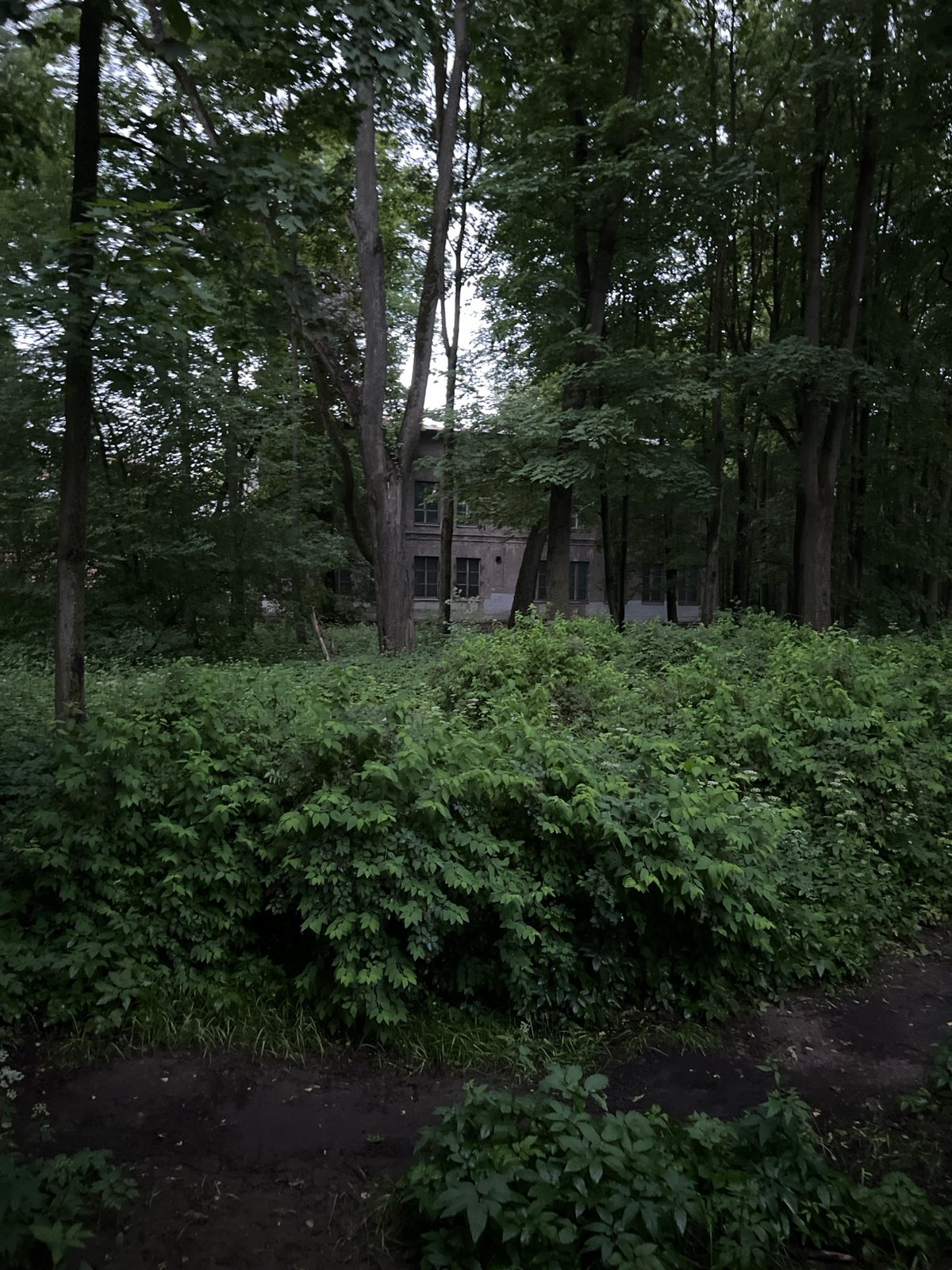 Evening walk documented through Saint Petersburg parks and streets