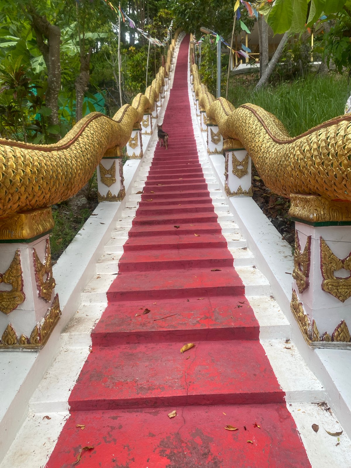 Temple stairs with golden dragon sculptures documented in Thailand