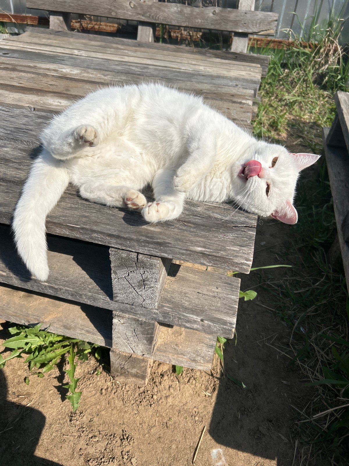 Morning outdoor activities captured in Chaikovsky, Russia