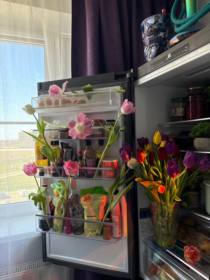 Domestic morning routine captured through refrigerator, clothing, window views