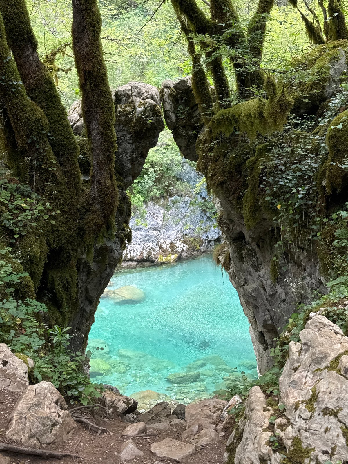Scenic Morača River and forest documented by visitors in Lazba