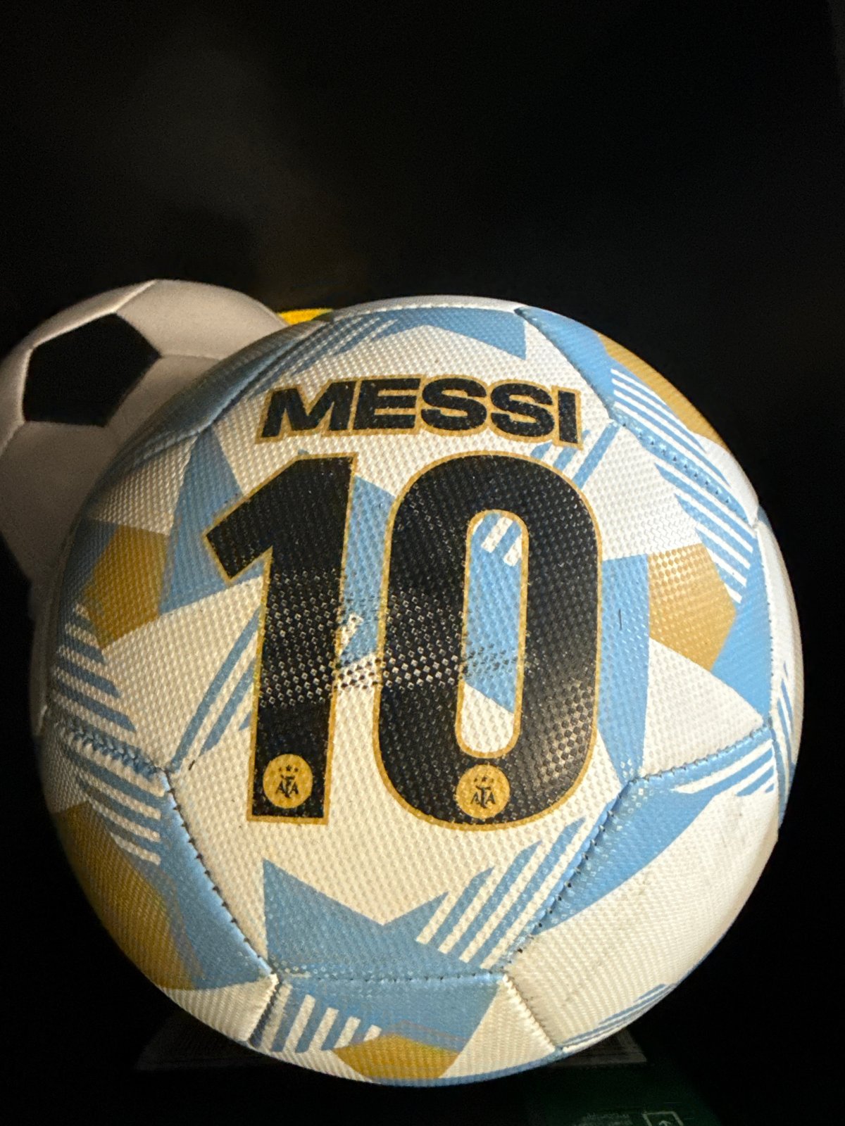 Evening snapshots capture Messi soccer ball, tan dog in Davie