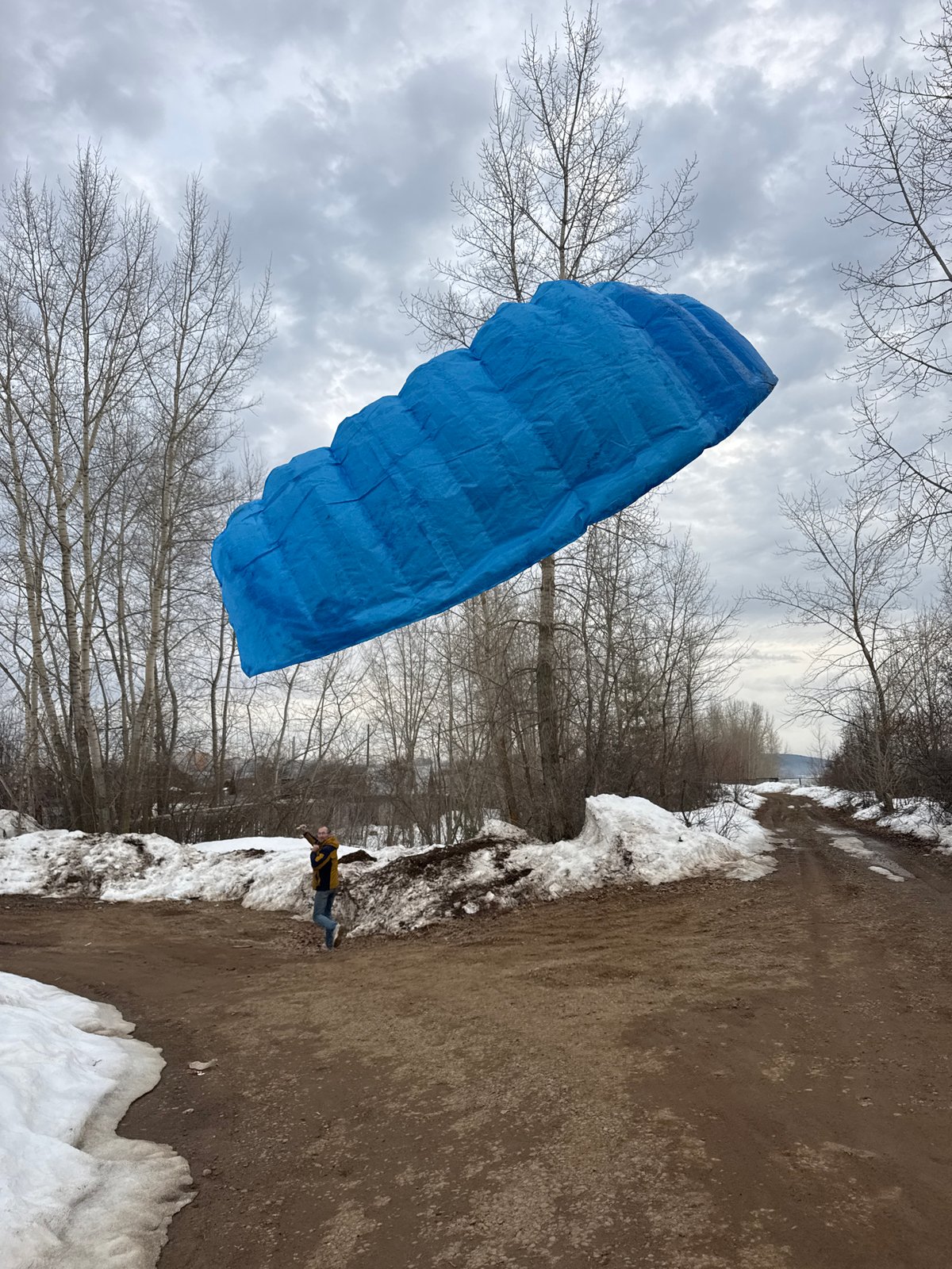 Large blue inflated object spotted in Chaikovsky park