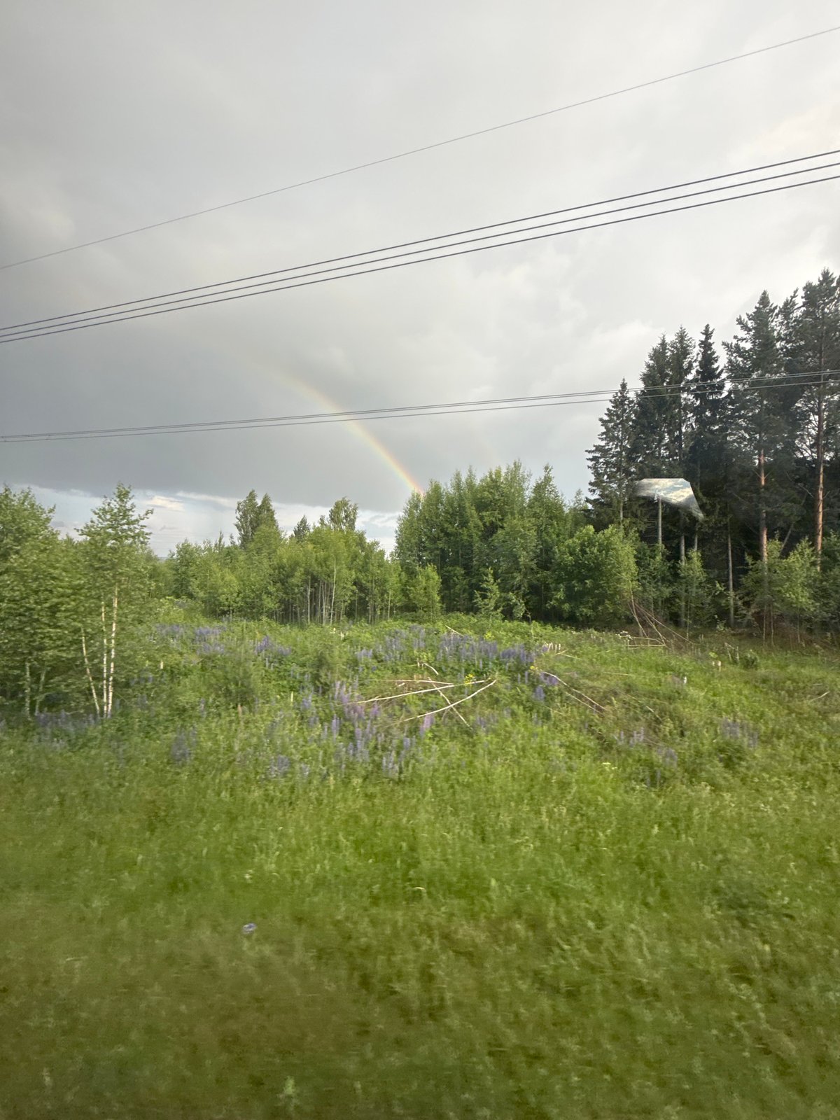 Double rainbow appears over Russian forest during cloudy afternoon