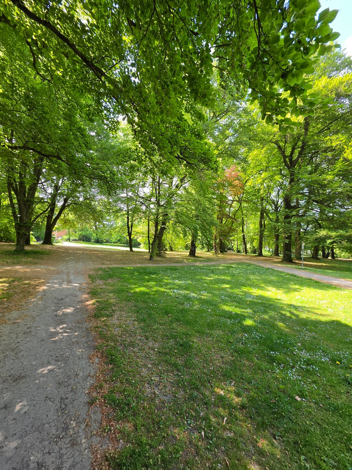 Woman walks Miniature Schnauzer through Munich park on spring morning