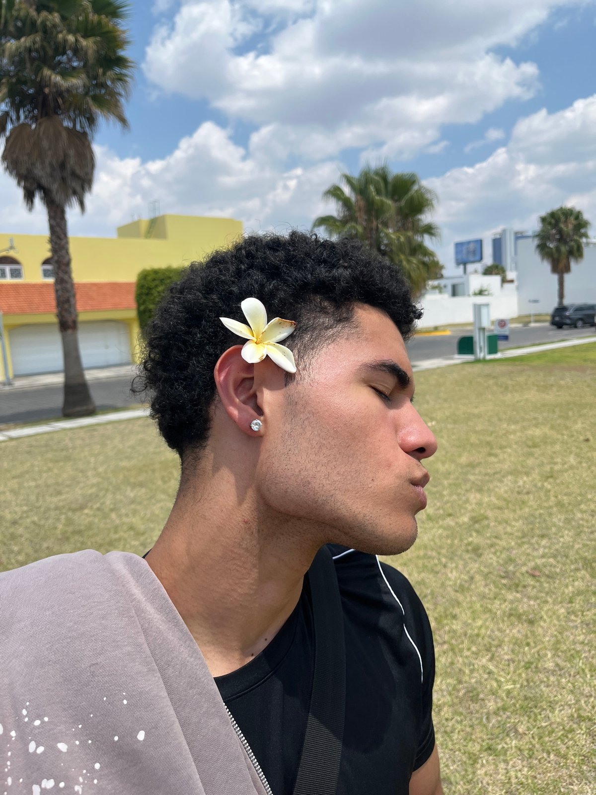 Spring plumeria blooms documented in Mexican residential area